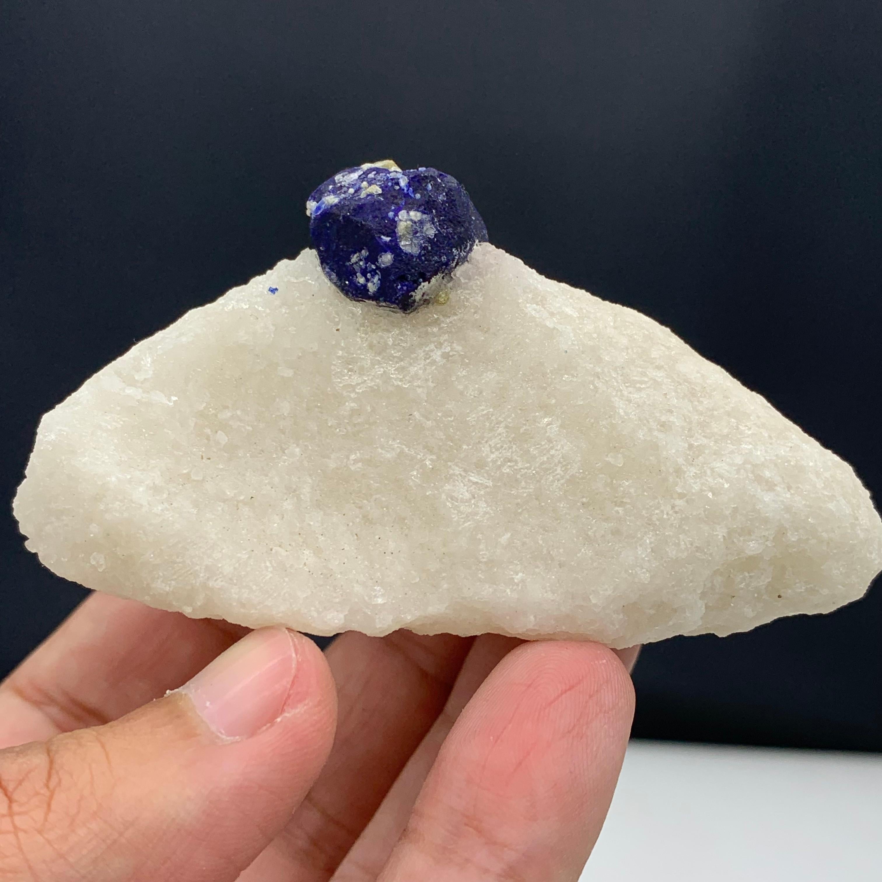 131.15 Gram Glamorous Isolated Lazurite Specimen On Creamy White Calcite Matrix For Sale 10