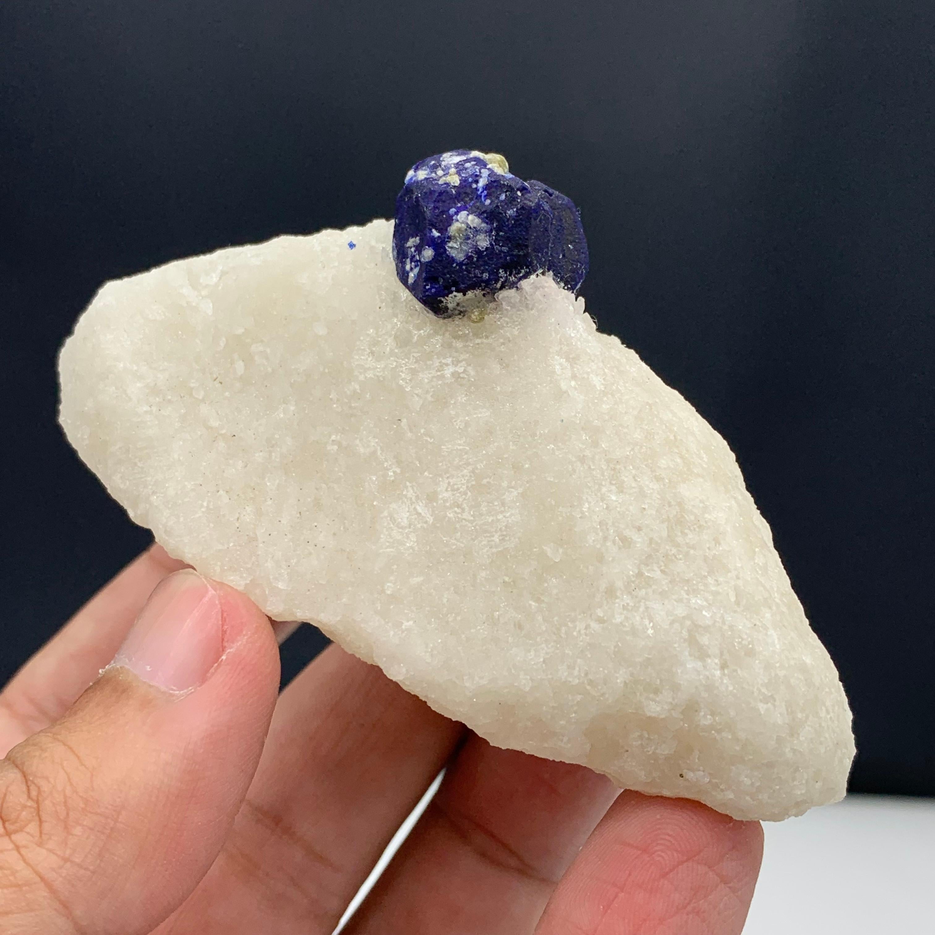 131.15 Gram Glamorous Isolated Lazurite Specimen On Creamy White Calcite Matrix For Sale 11