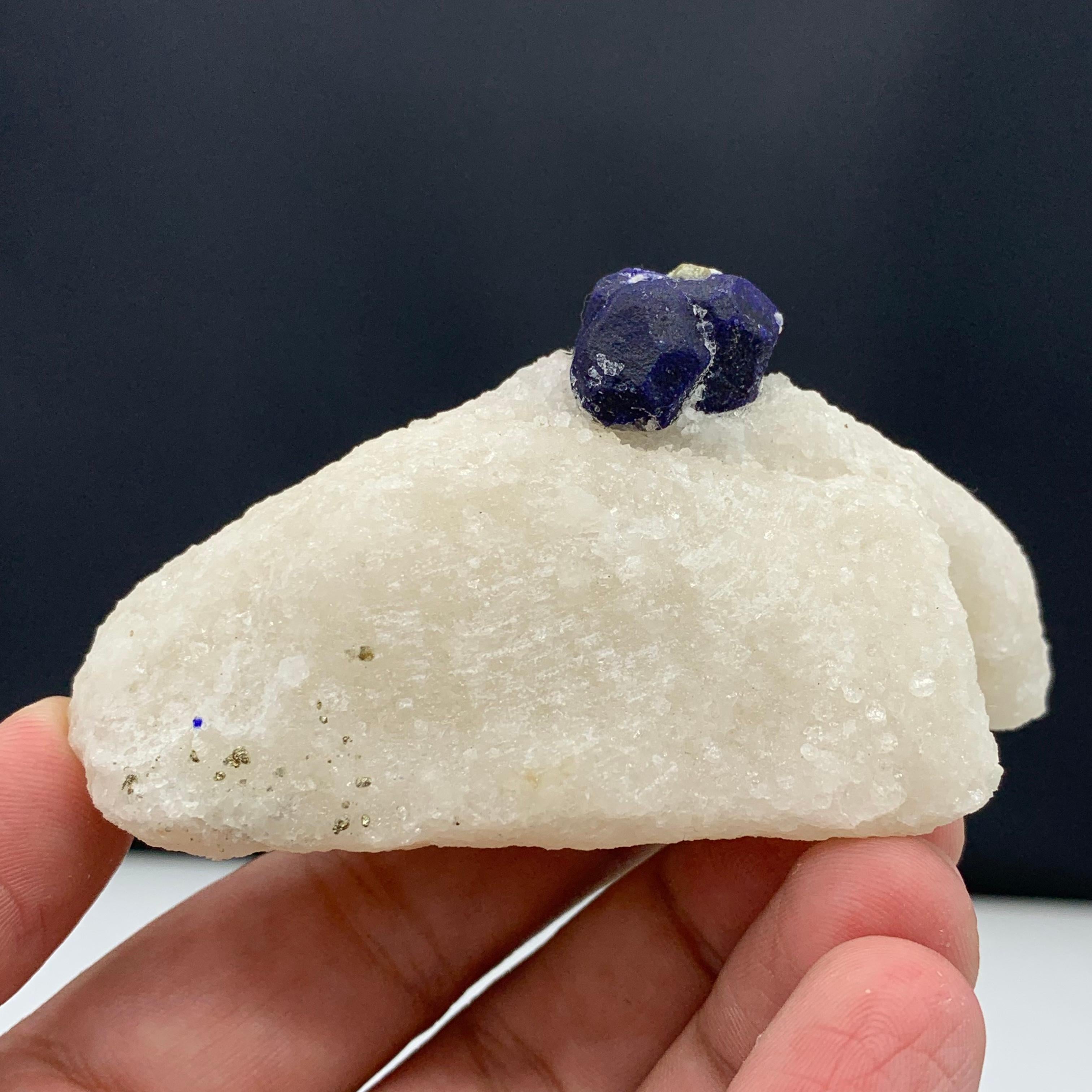 131.15 Gram Glamorous Isolated Lazurite Specimen On Creamy White Calcite Matrix For Sale 12