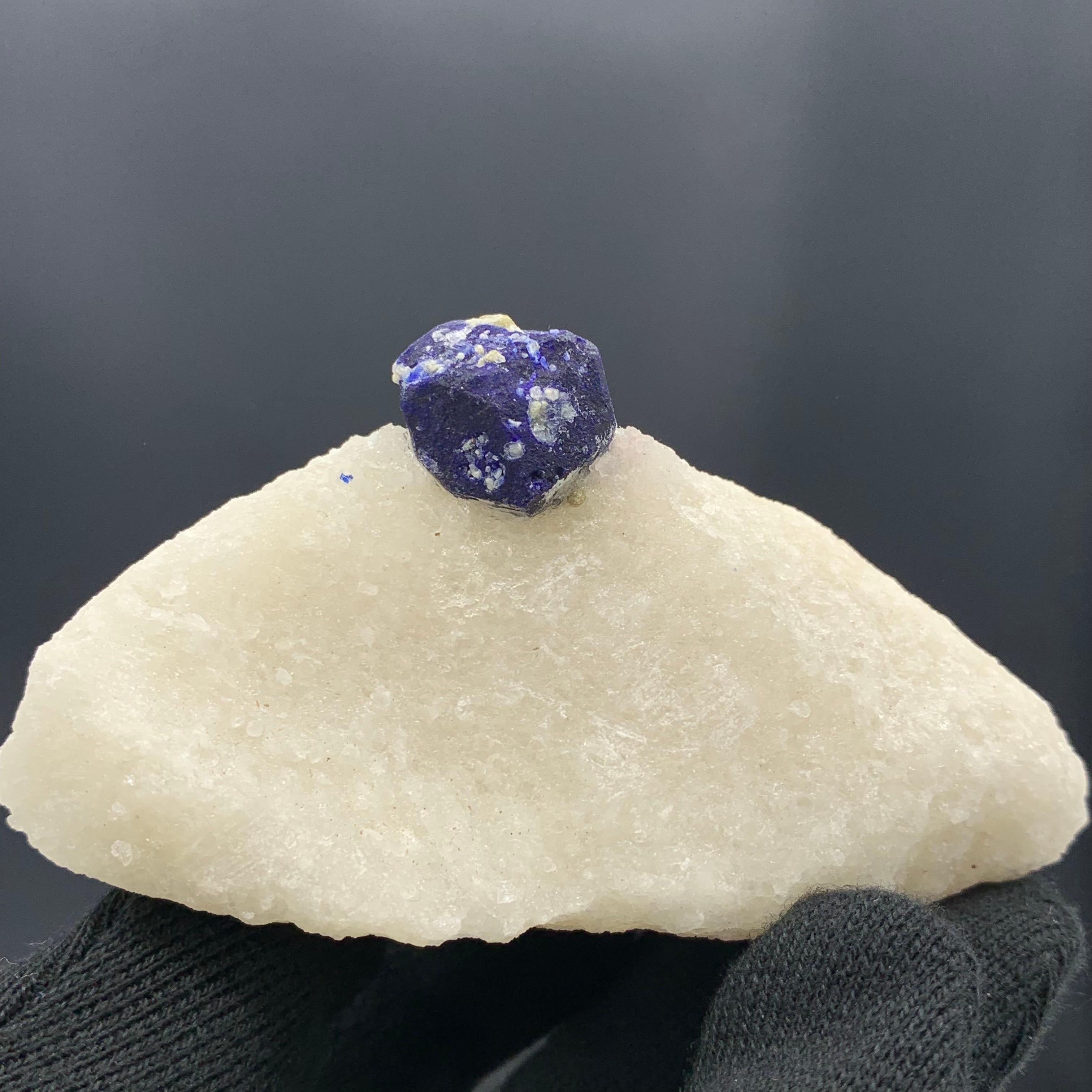 Other 131.15 Gram Glamorous Isolated Lazurite Specimen On Creamy White Calcite Matrix For Sale