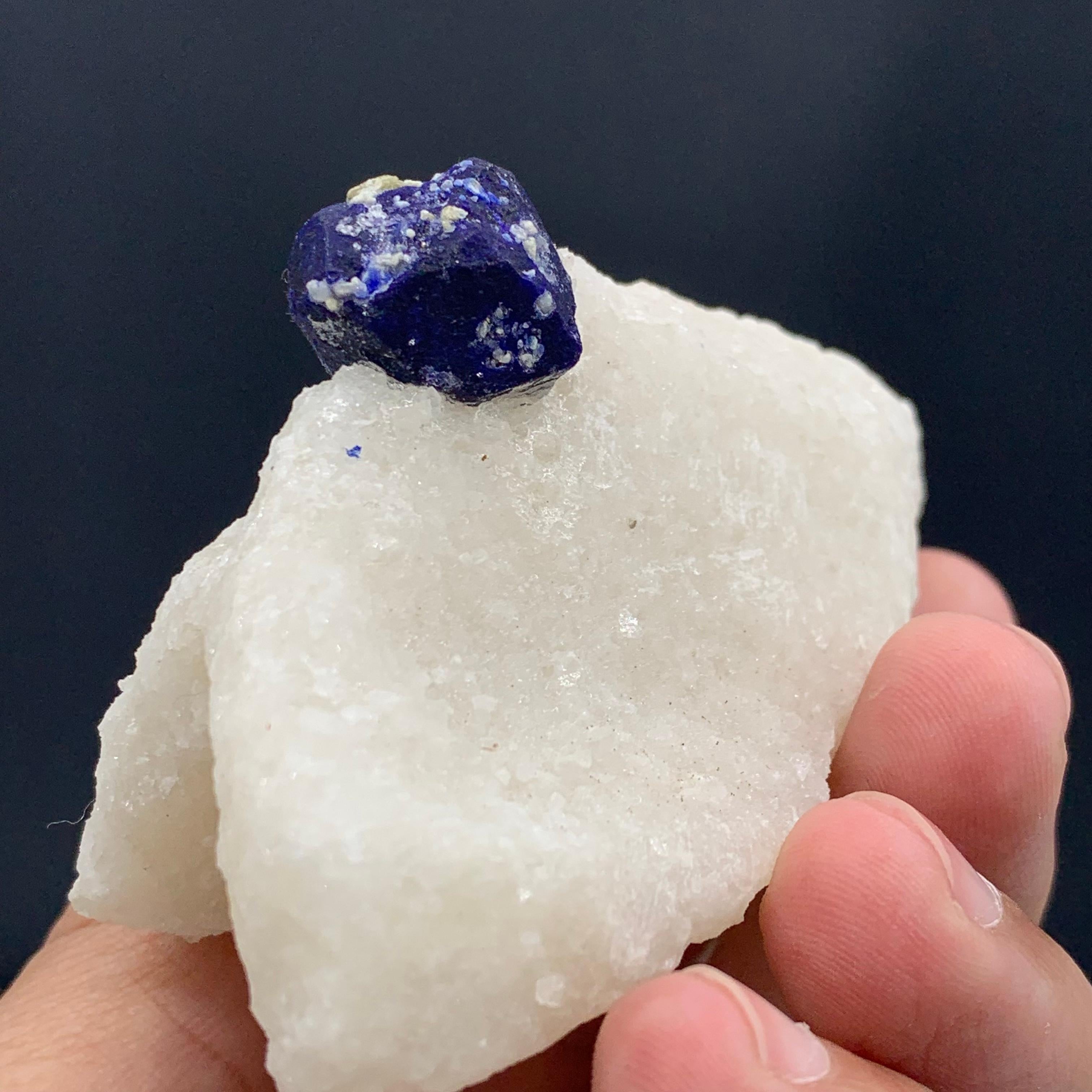 131.15 Gram Glamorous Isolated Lazurite Specimen On Creamy White Calcite Matrix For Sale 1