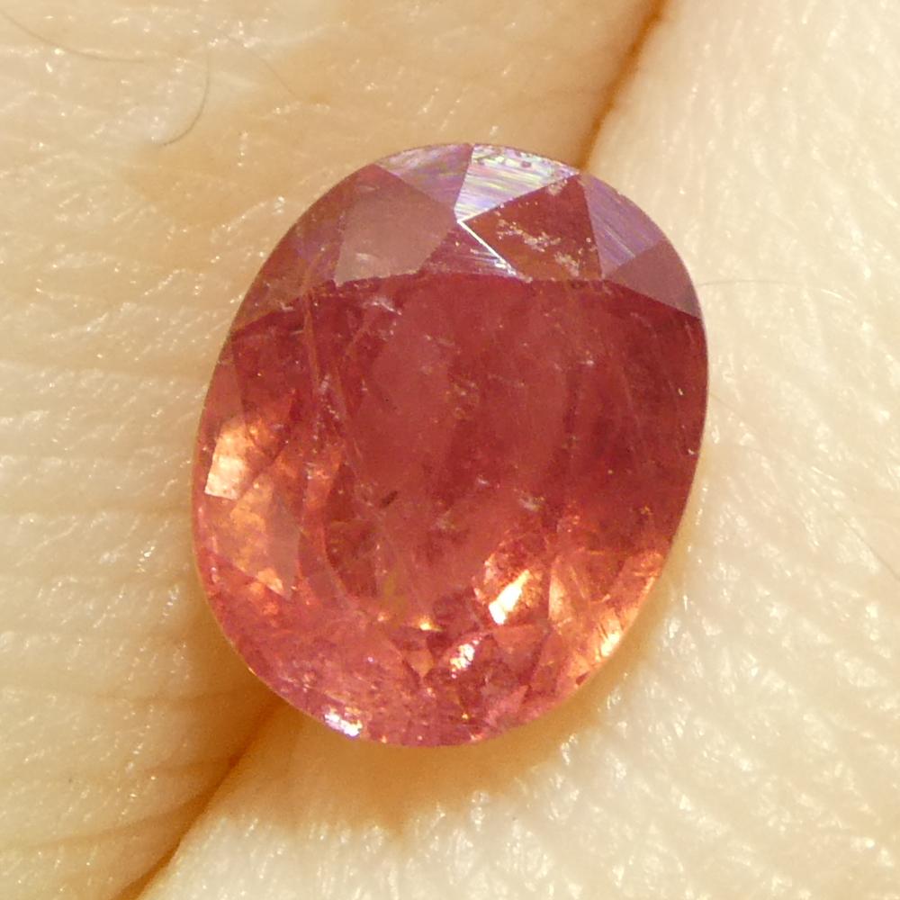 Women's or Men's 1.31ct Oval Orangy-Pink Padparadscha Sapphire from Tanzania For Sale
