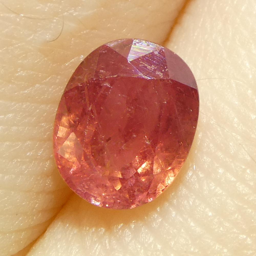 1.31ct Oval Orangy-Pink Padparadscha Sapphire from Tanzania For Sale 1