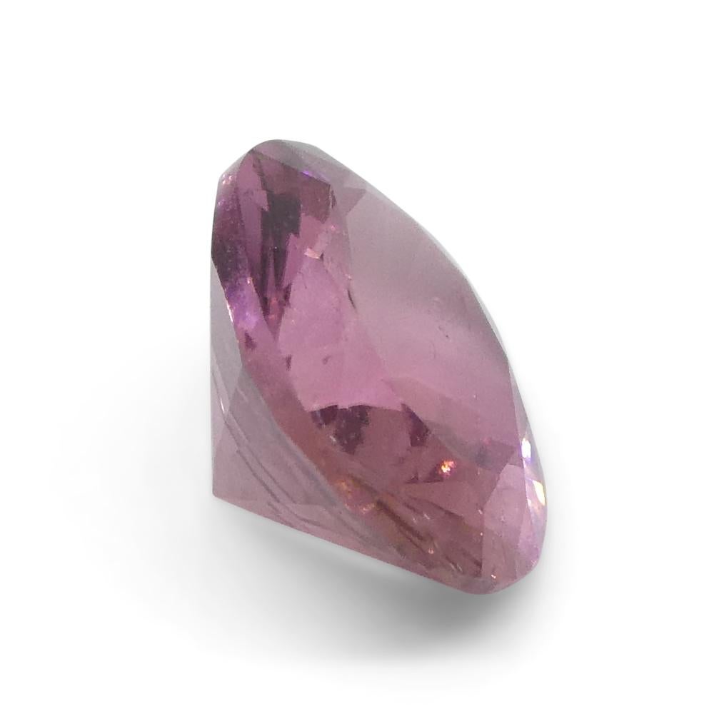 1.31ct Oval Pink Tourmaline from Brazil For Sale 8