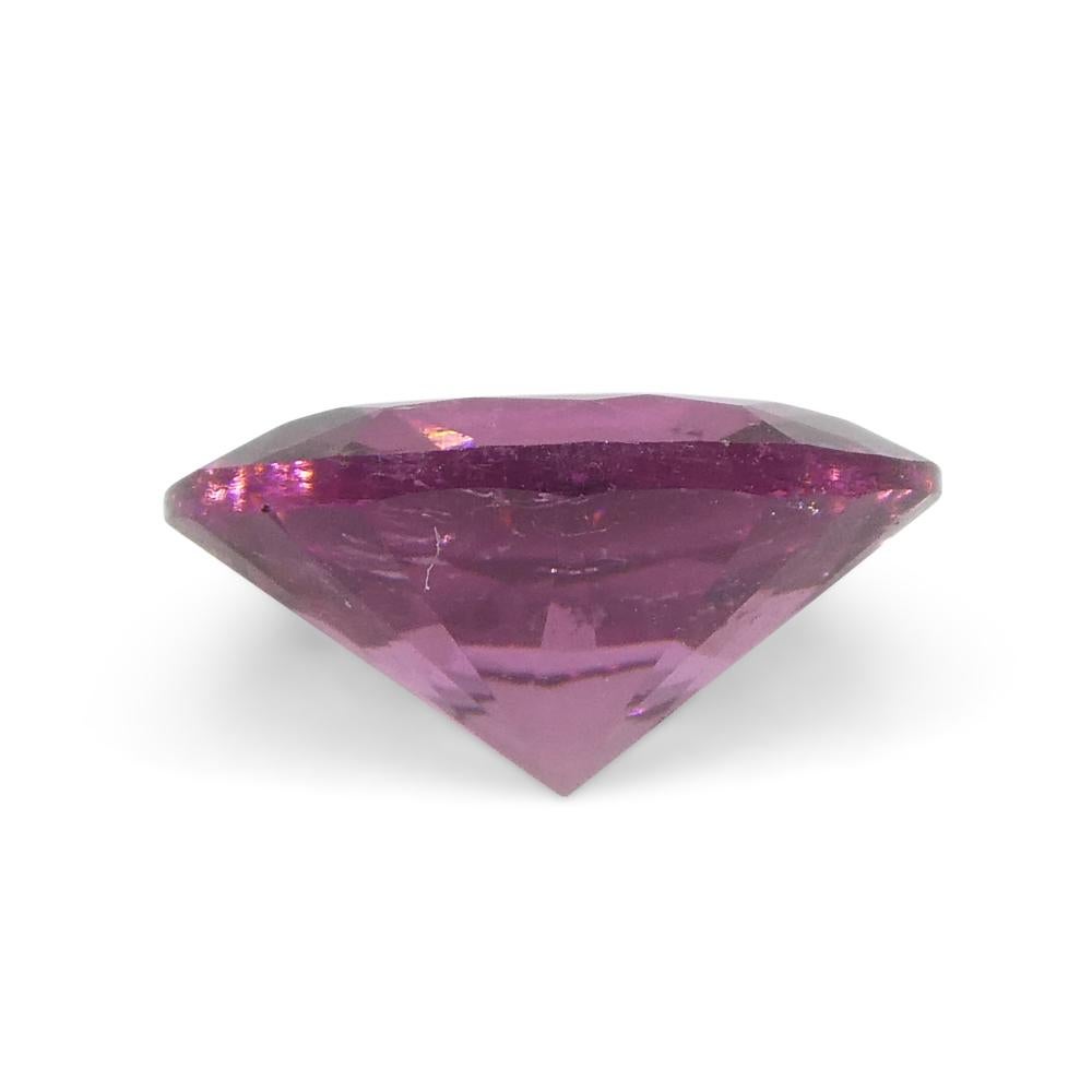 1.31ct Oval Pink Tourmaline from Brazil In New Condition For Sale In Toronto, Ontario