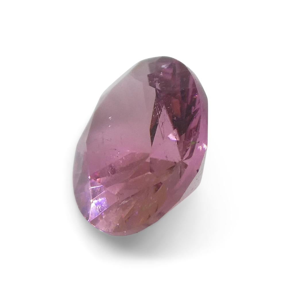1.31ct Oval Pink Tourmaline from Brazil For Sale 2