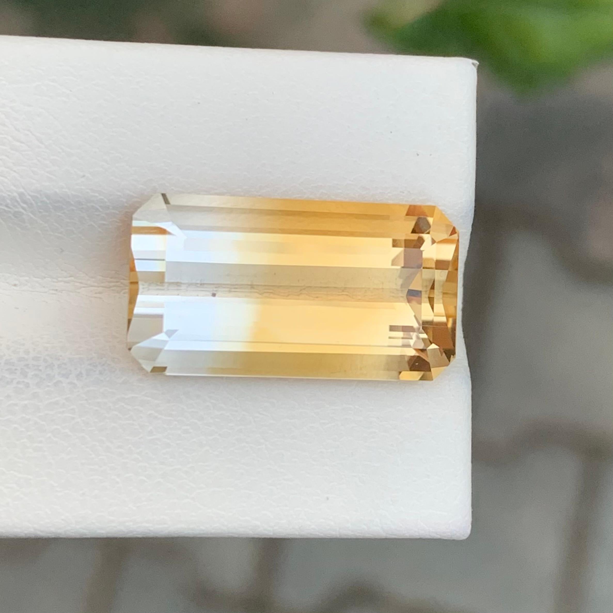 13,25 Karat Natürliche Lose Bi Farbe Citrin Smaragd Form Edelstein (Arts and Crafts) im Angebot