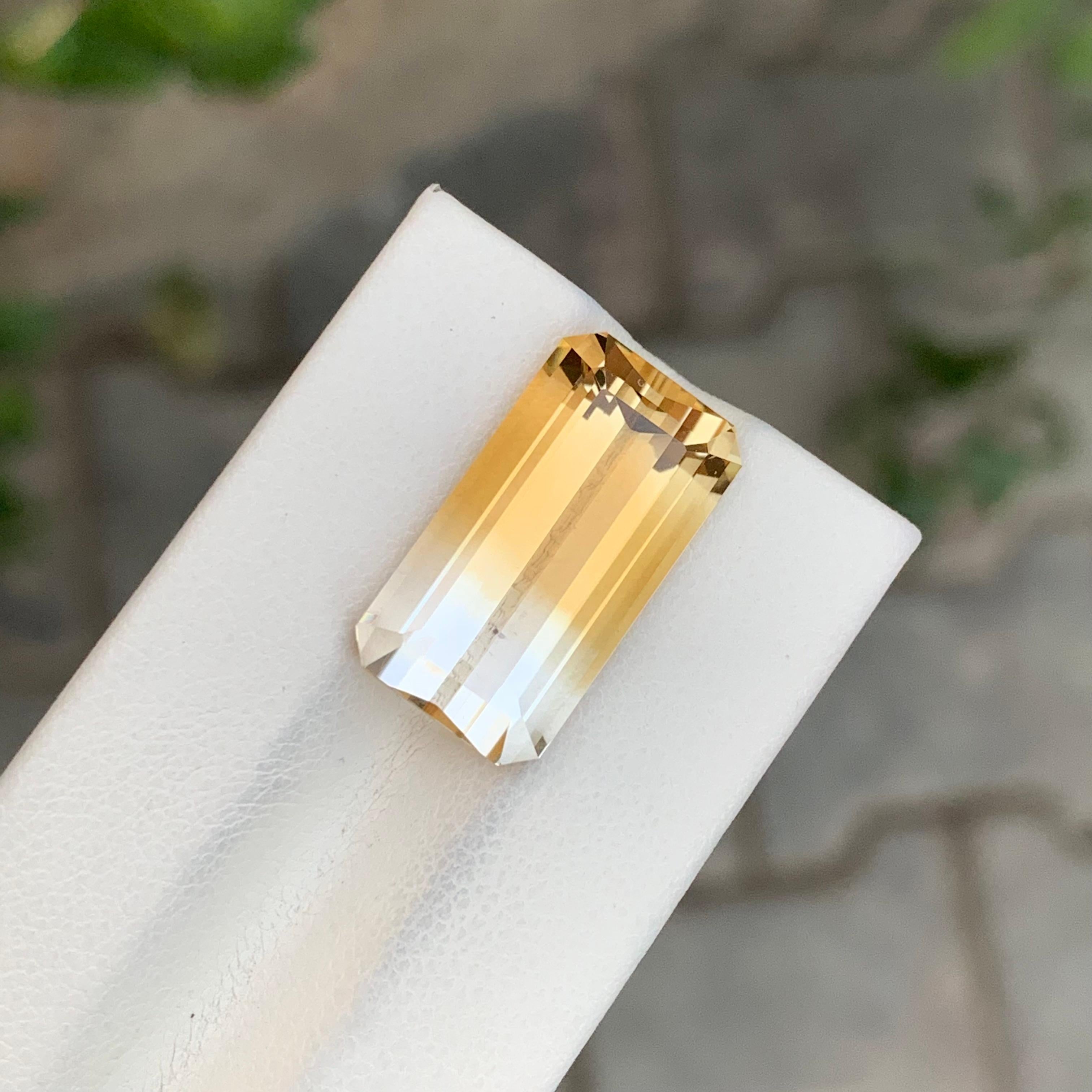 13,25 Karat Natürliche Lose Bi Farbe Citrin Smaragd Form Edelstein im Angebot 3
