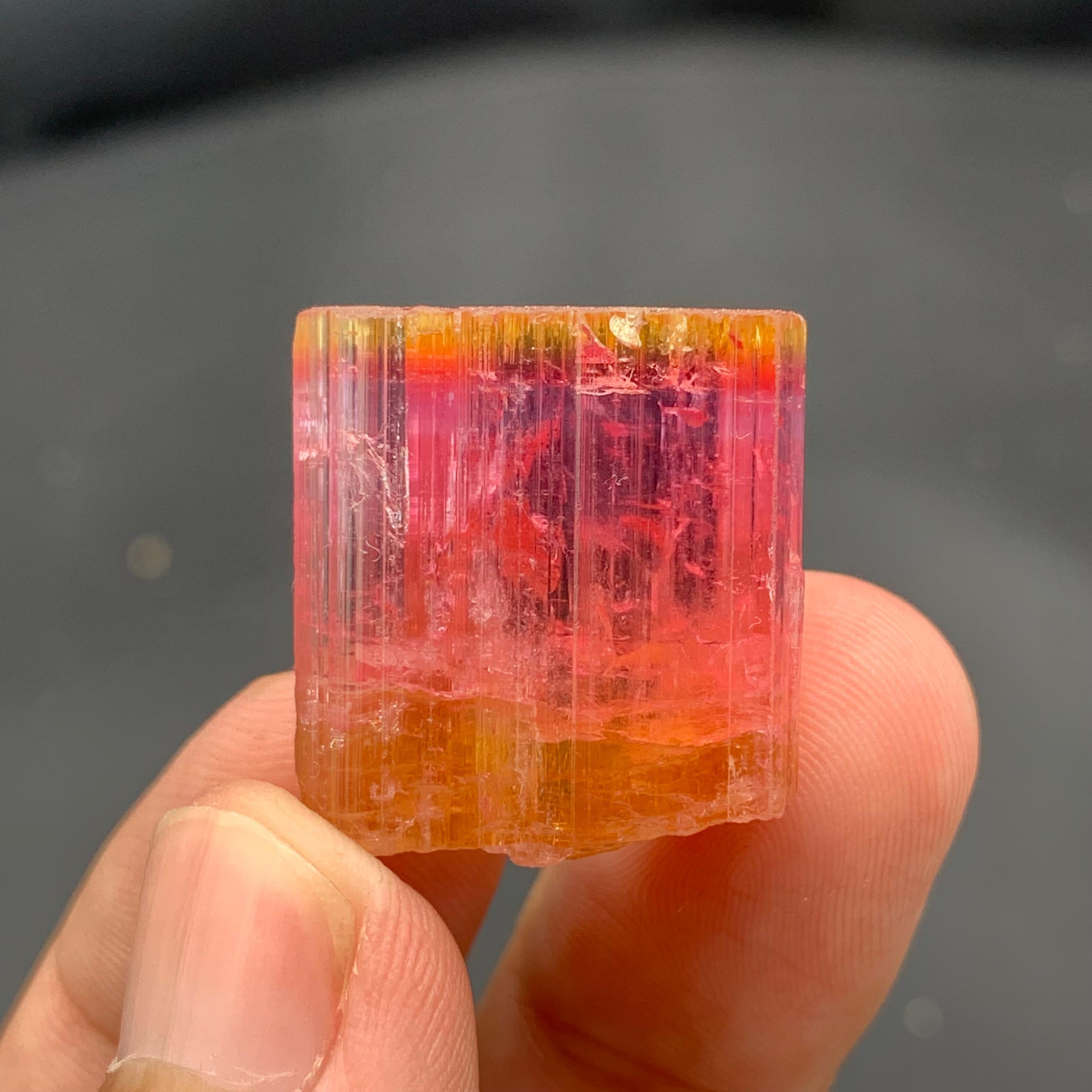 INFORMAZIONI SUL PRODOTTO:

Cristallo naturale di tormalina bicolore 

Peso: 13.25 grammi

Dimensioni: 2,3 x 2,1 x 1,3 cm 

Località: Miniera di Paprook, Nuristan, Afghanistan 

Trattamento: Nessuno

DESCRIZIONE:

Questo cristallo naturale di