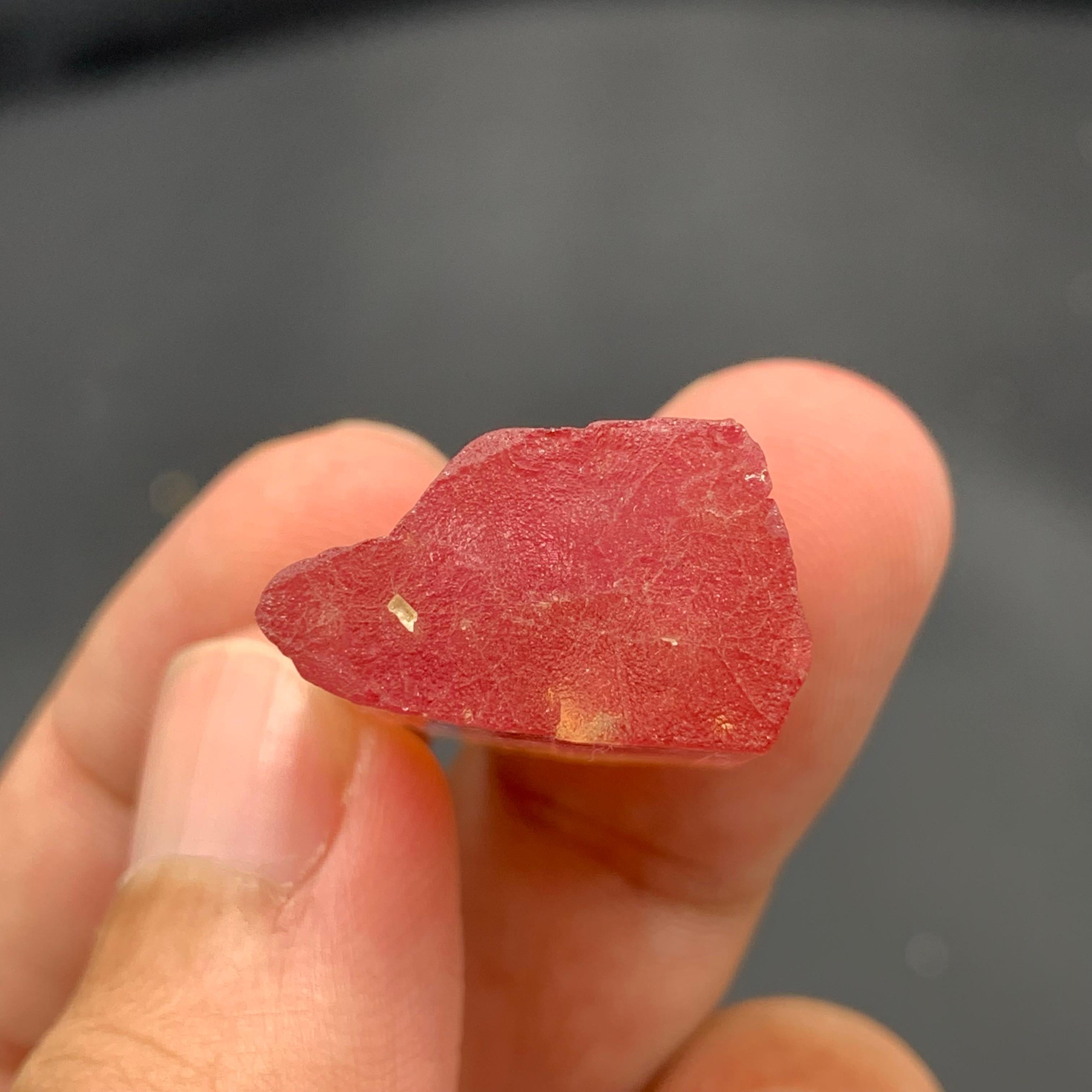 Stile Adam 13,25 grammi di cristallo naturale di tormalina bicolore dall'Afghanistan in vendita
