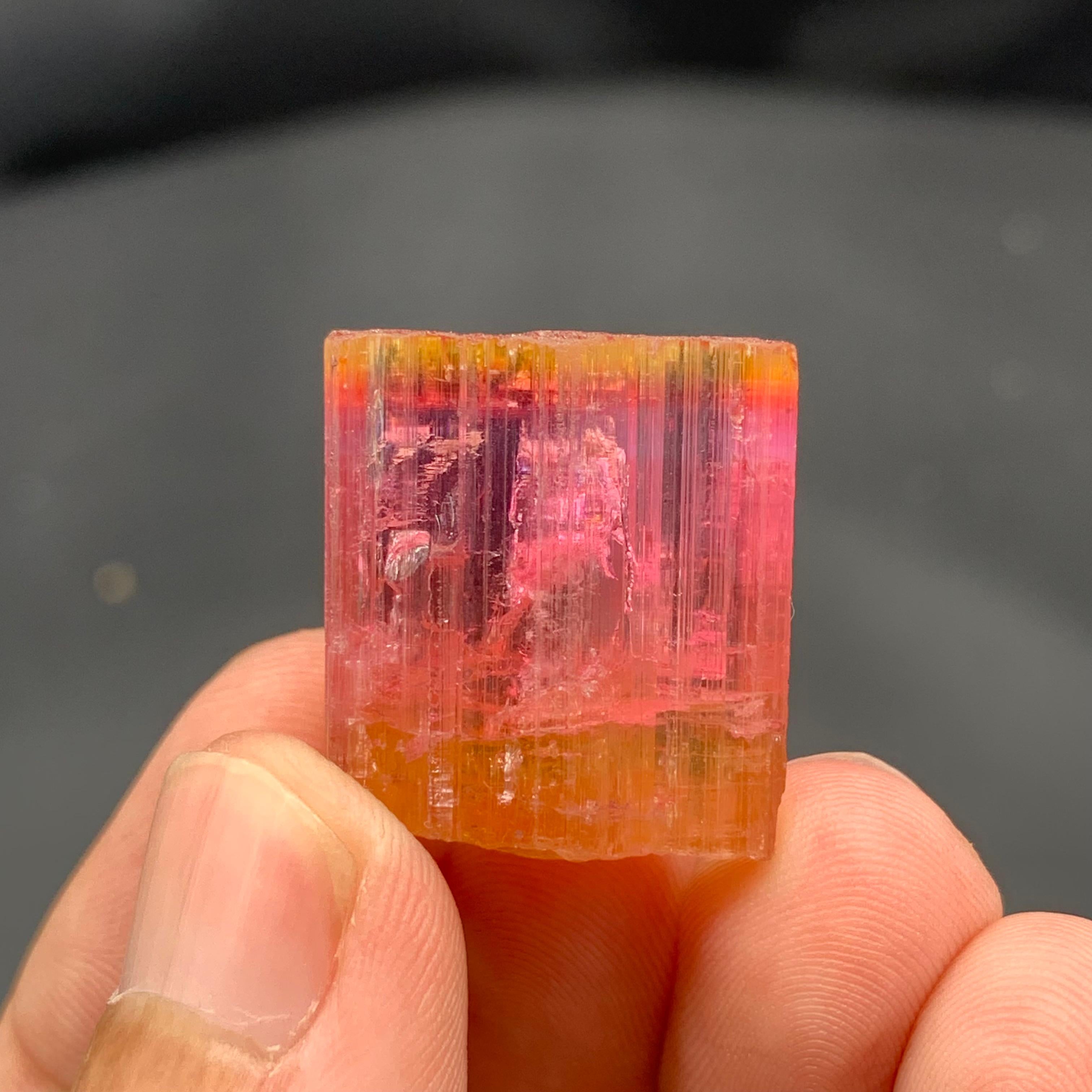 Afghano 13,25 grammi di cristallo naturale di tormalina bicolore dall'Afghanistan in vendita