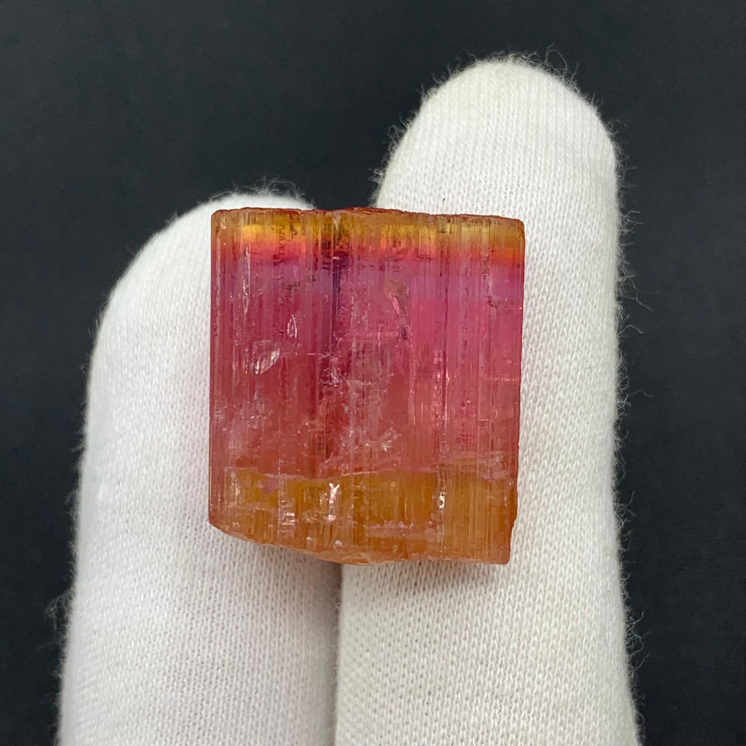 Altro 13,25 grammi di cristallo naturale di tormalina bicolore dall'Afghanistan in vendita