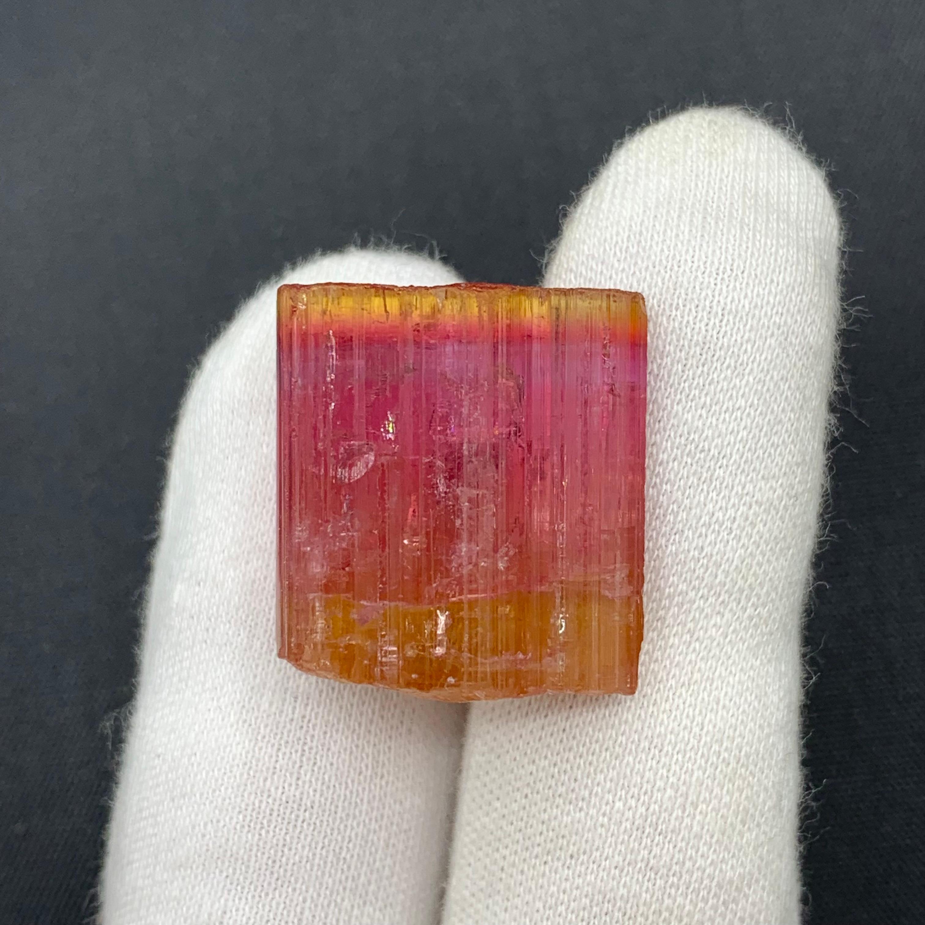 13,25 grammi di cristallo naturale di tormalina bicolore dall'Afghanistan in vendita 1