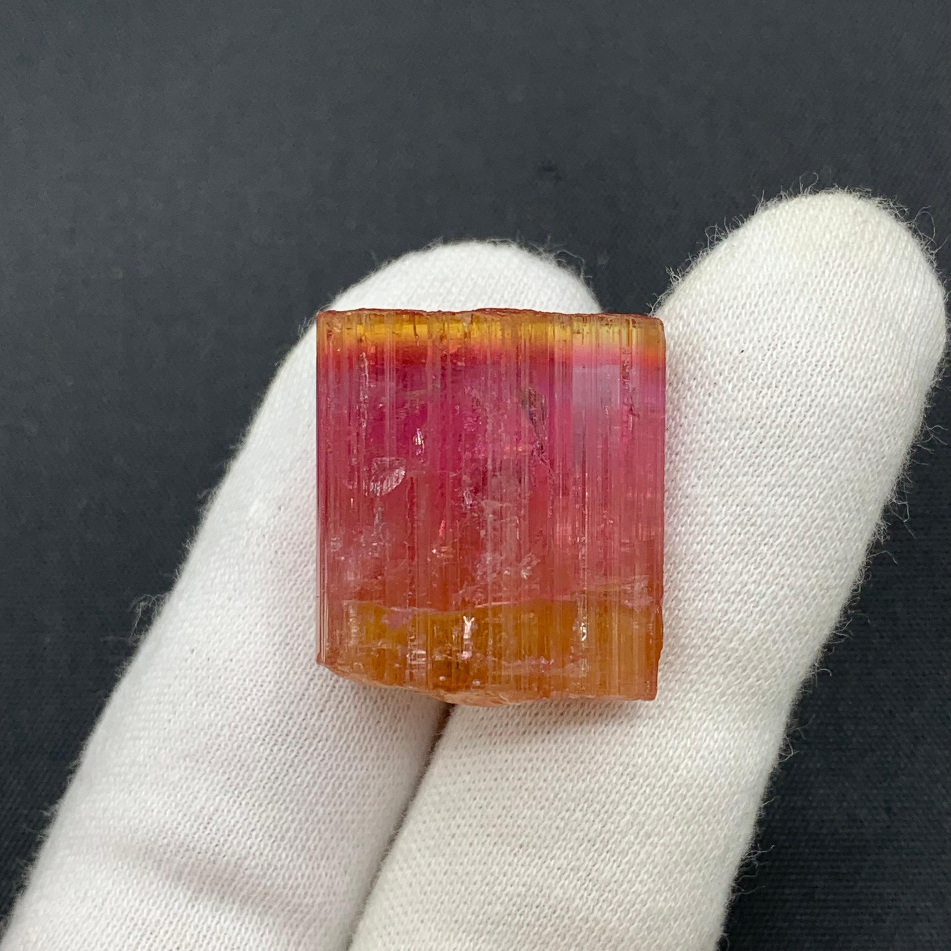 13,25 grammi di cristallo naturale di tormalina bicolore dall'Afghanistan in vendita 2