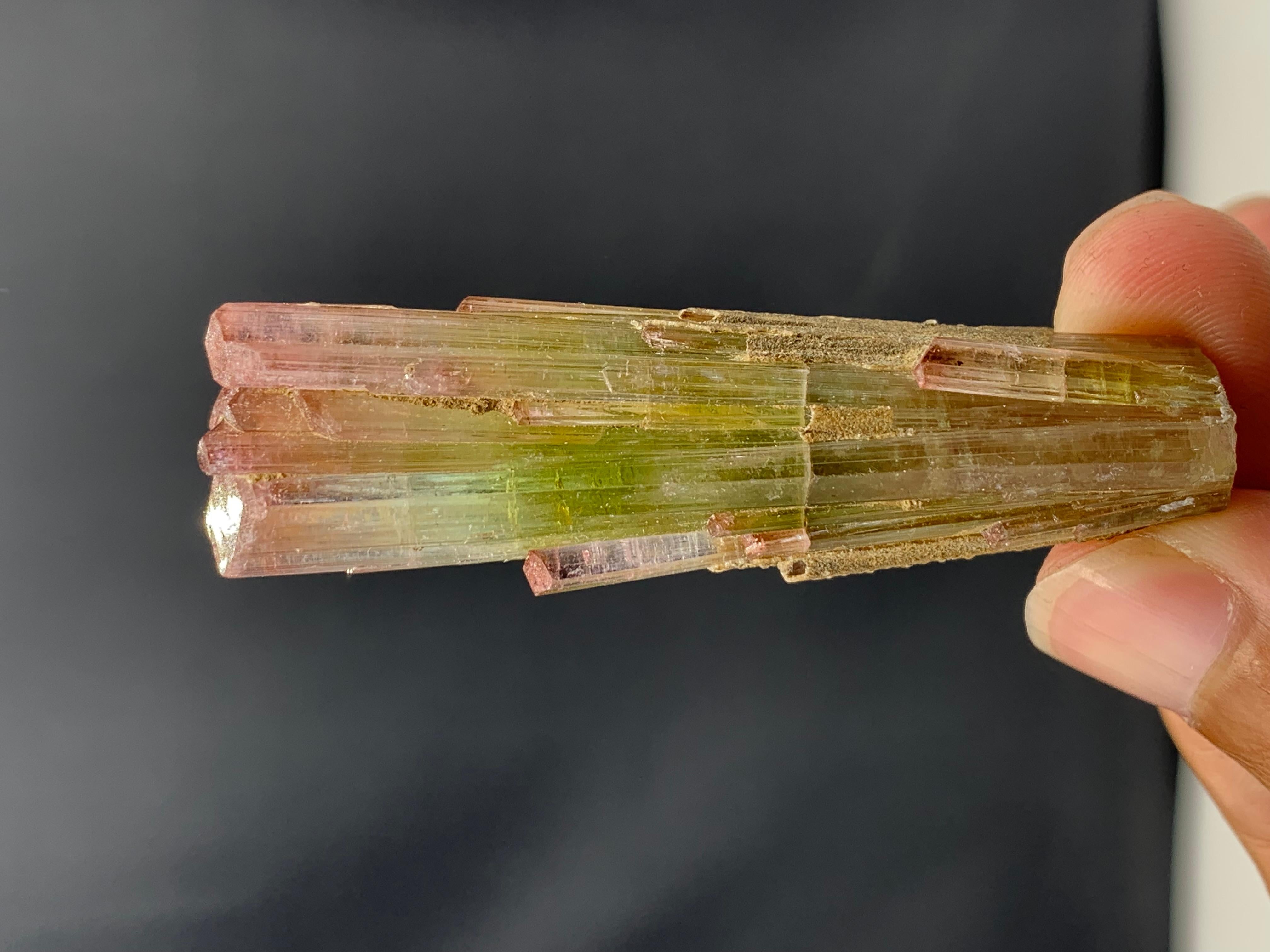 133 Karat dreifarbiger Turmalin-Kristall aus Paprook-Mine, Afghanistan  im Angebot 2