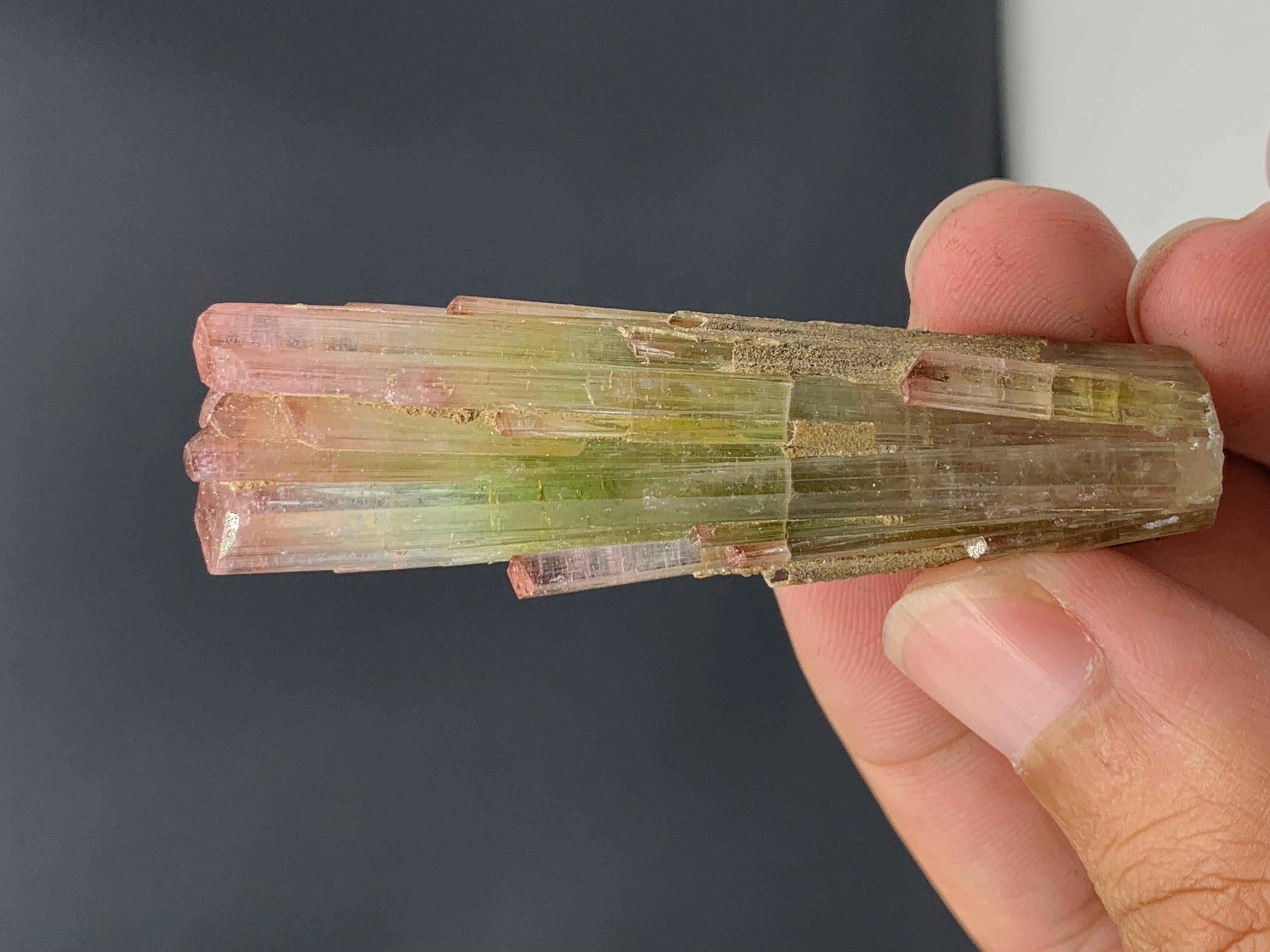 133 Carat Tri Color Tourmaline Crystal From Paprook mine, Afghanistan 
Weight: 133 Carat 
Dimension: 6.3 x 1.8 x 1.3 Cm 
Origin: Paprook Mine, Afghanistan 

Tourmaline is a crystalline silicate mineral group in which boron is compounded with