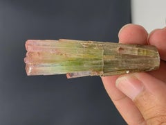 133 Carat Tri Color Tourmaline Crystal From Paprook mine, Afghanistan