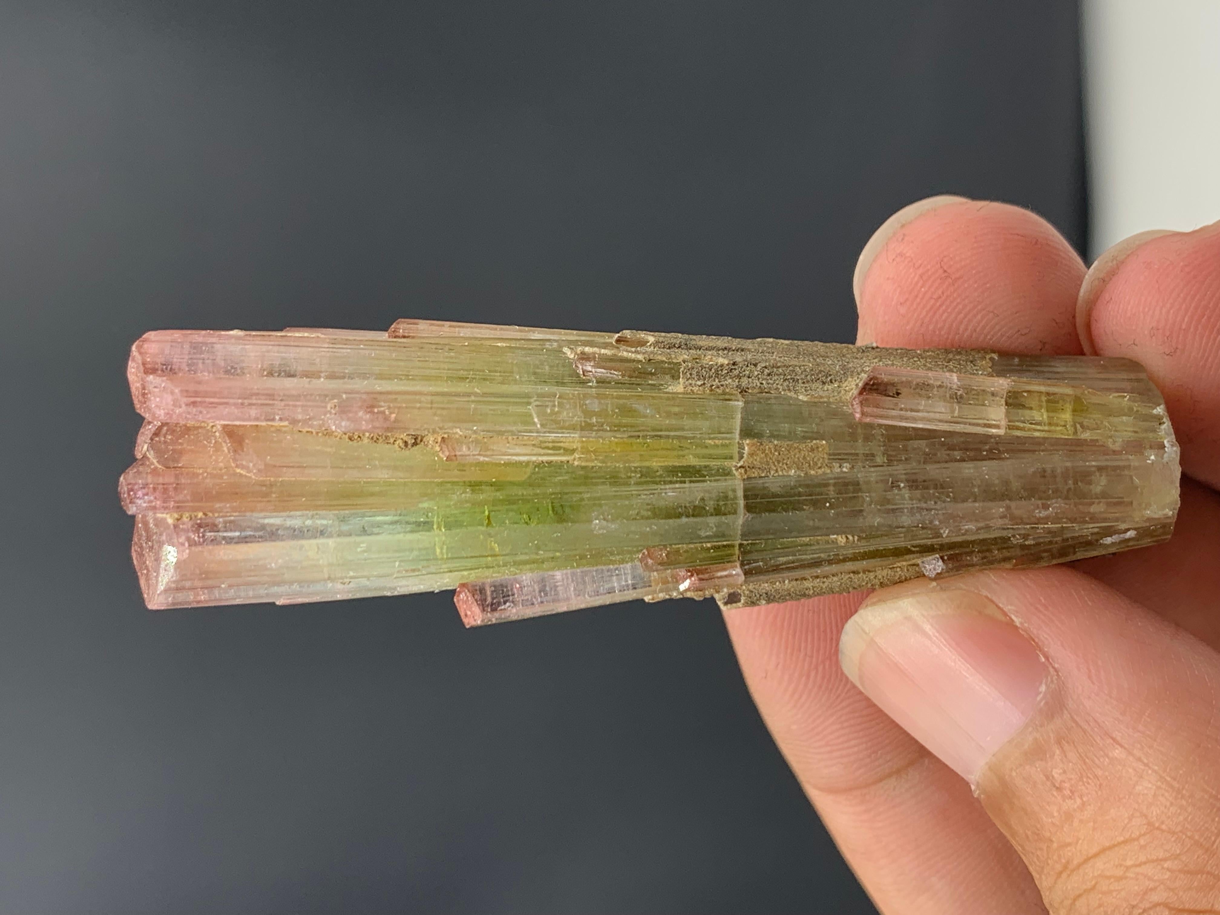 133 Karat dreifarbiger Turmalin-Kristall aus Paprook-Mine, Afghanistan  (Adamstil) im Angebot