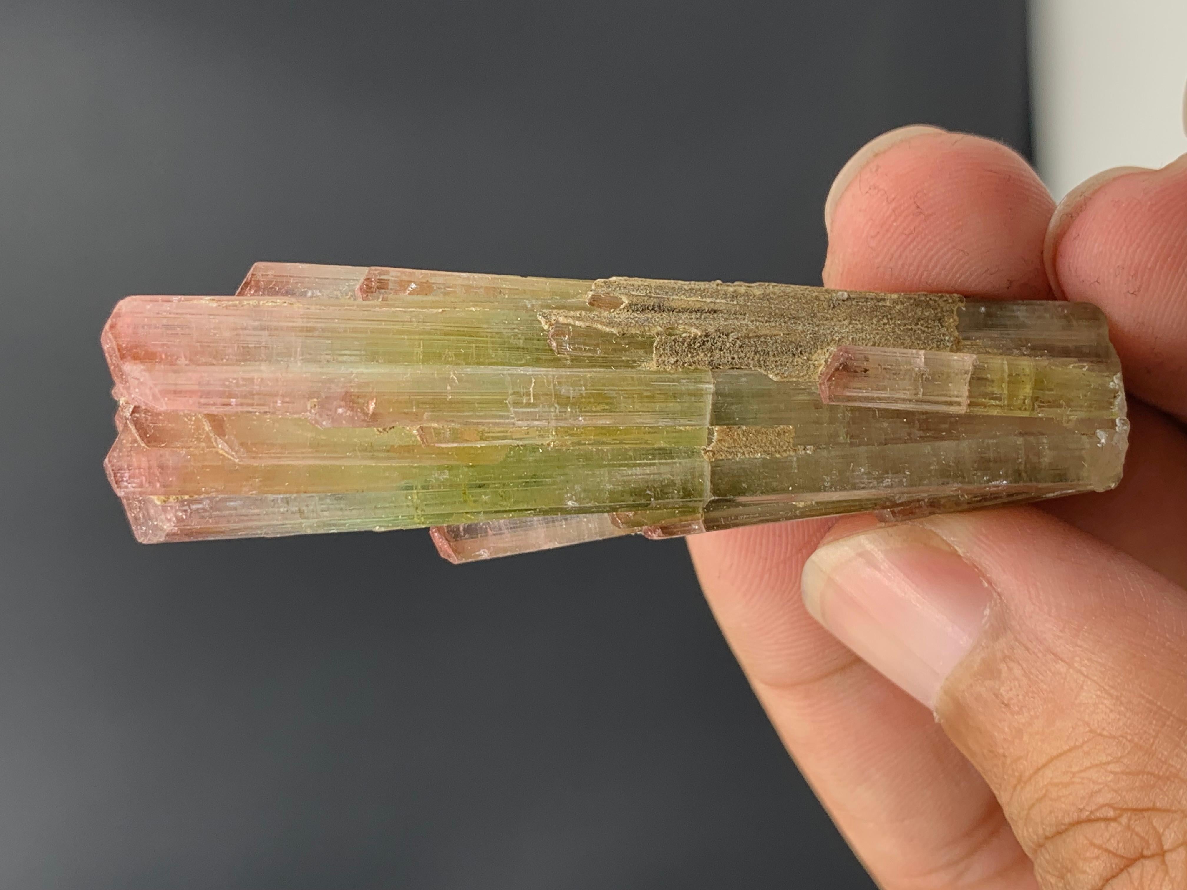 Other 133 Carat Tri Color Tourmaline Crystal From Paprook mine, Afghanistan  For Sale