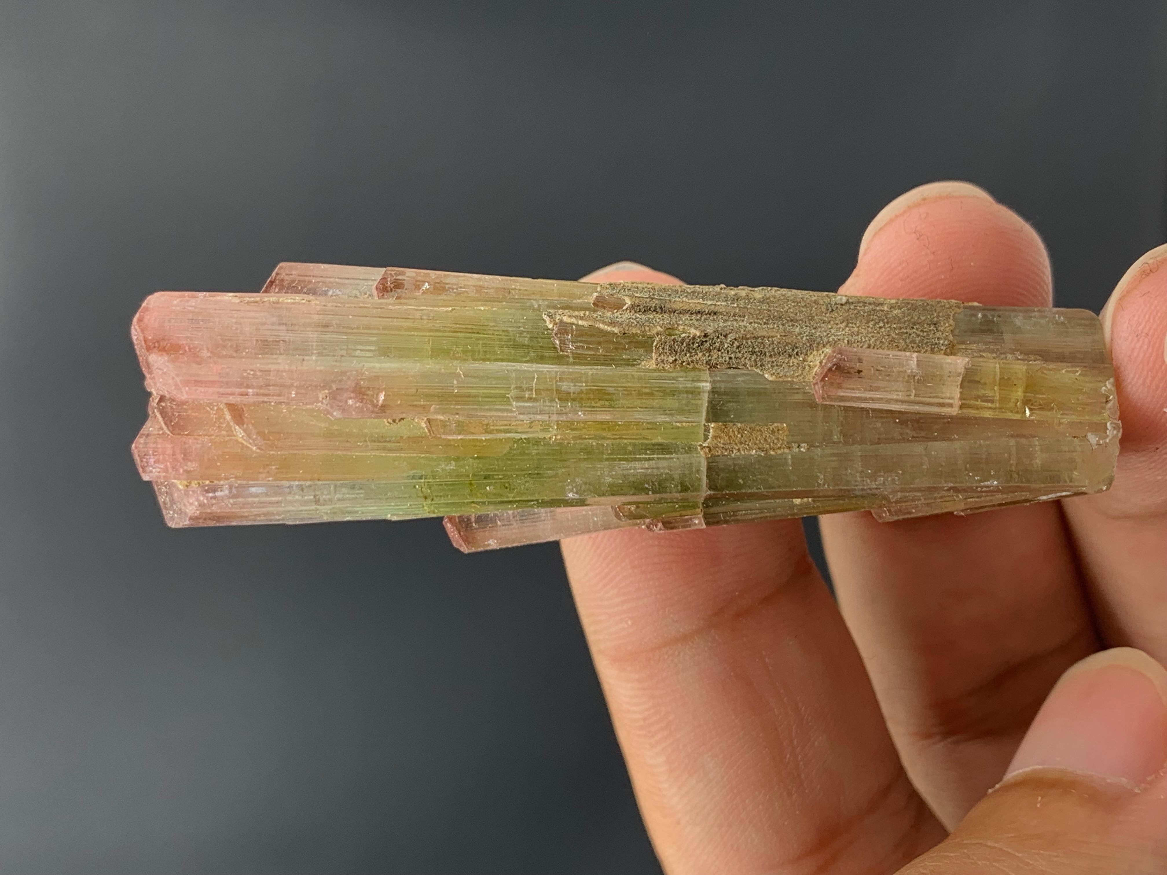 133 Karat dreifarbiger Turmalin-Kristall aus Paprook-Mine, Afghanistan  (Bergkristall) im Angebot
