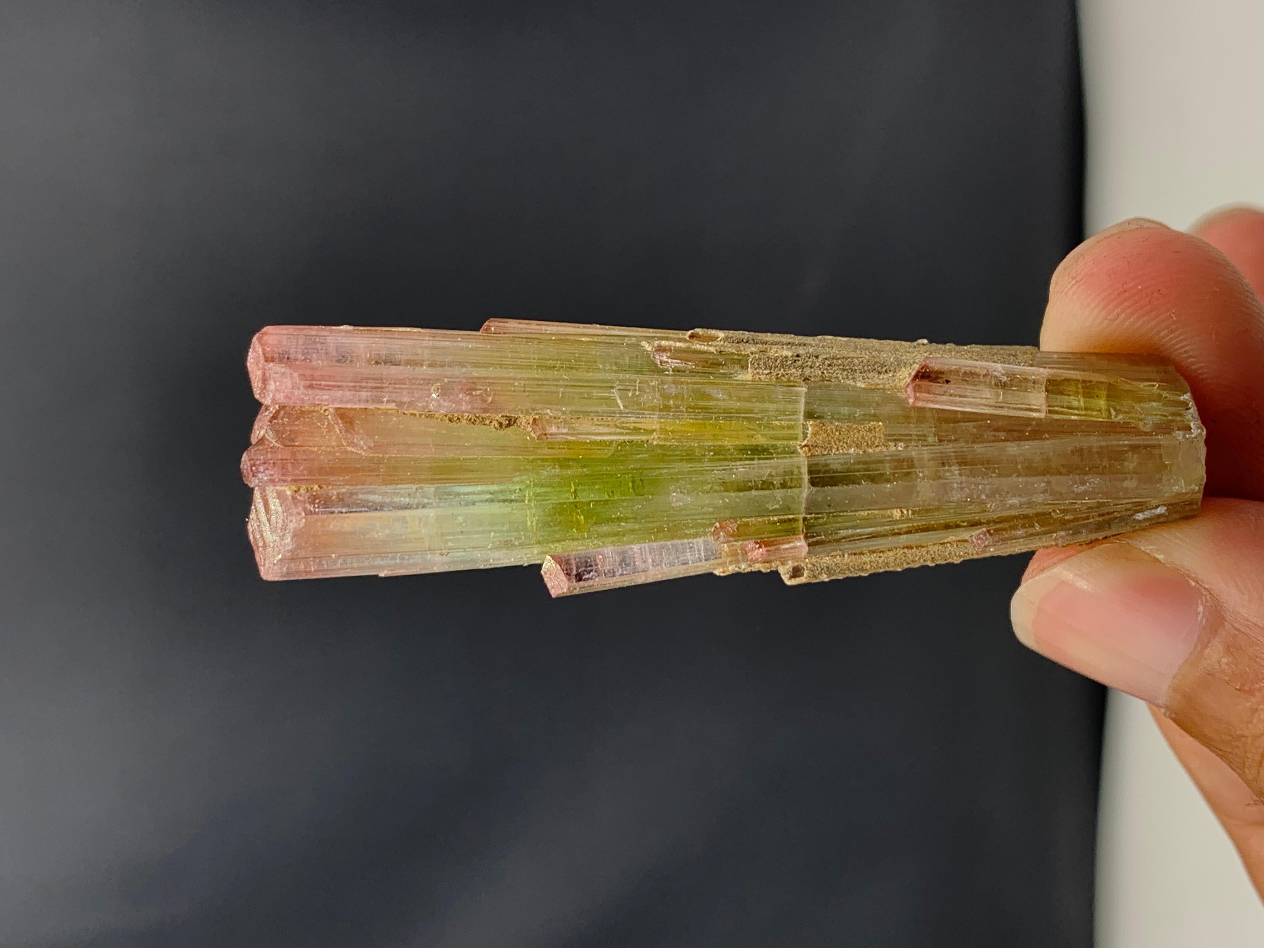 133 Karat dreifarbiger Turmalin-Kristall aus Paprook-Mine, Afghanistan  im Angebot 1