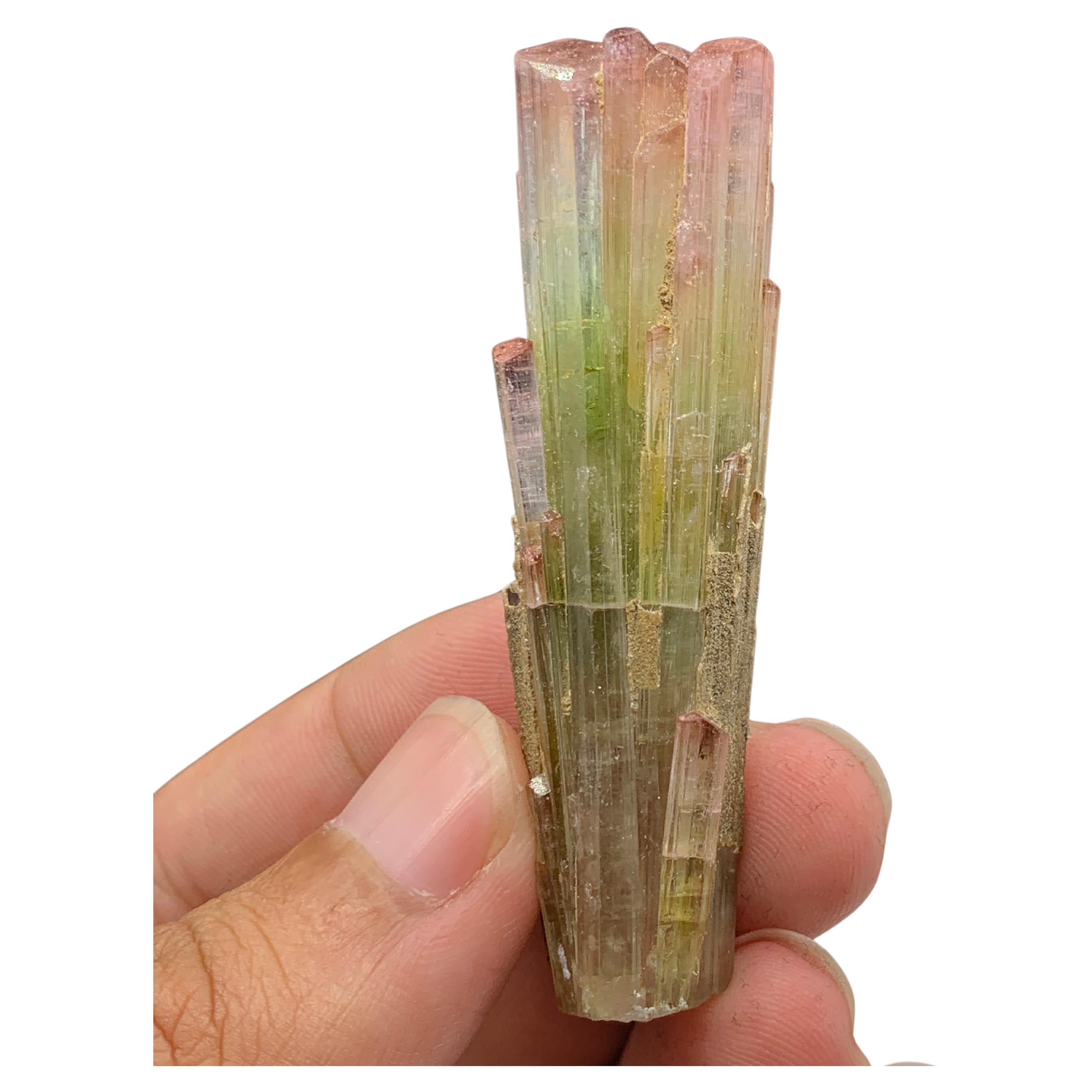 133 Karat dreifarbiger Turmalin-Kristall aus Paprook-Mine, Afghanistan  im Angebot
