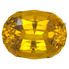 13.35 Carat Natural Loose Honey Color Citrine Fancy Cut Brazilian Gemstone (pierre précieuse brésilienne)