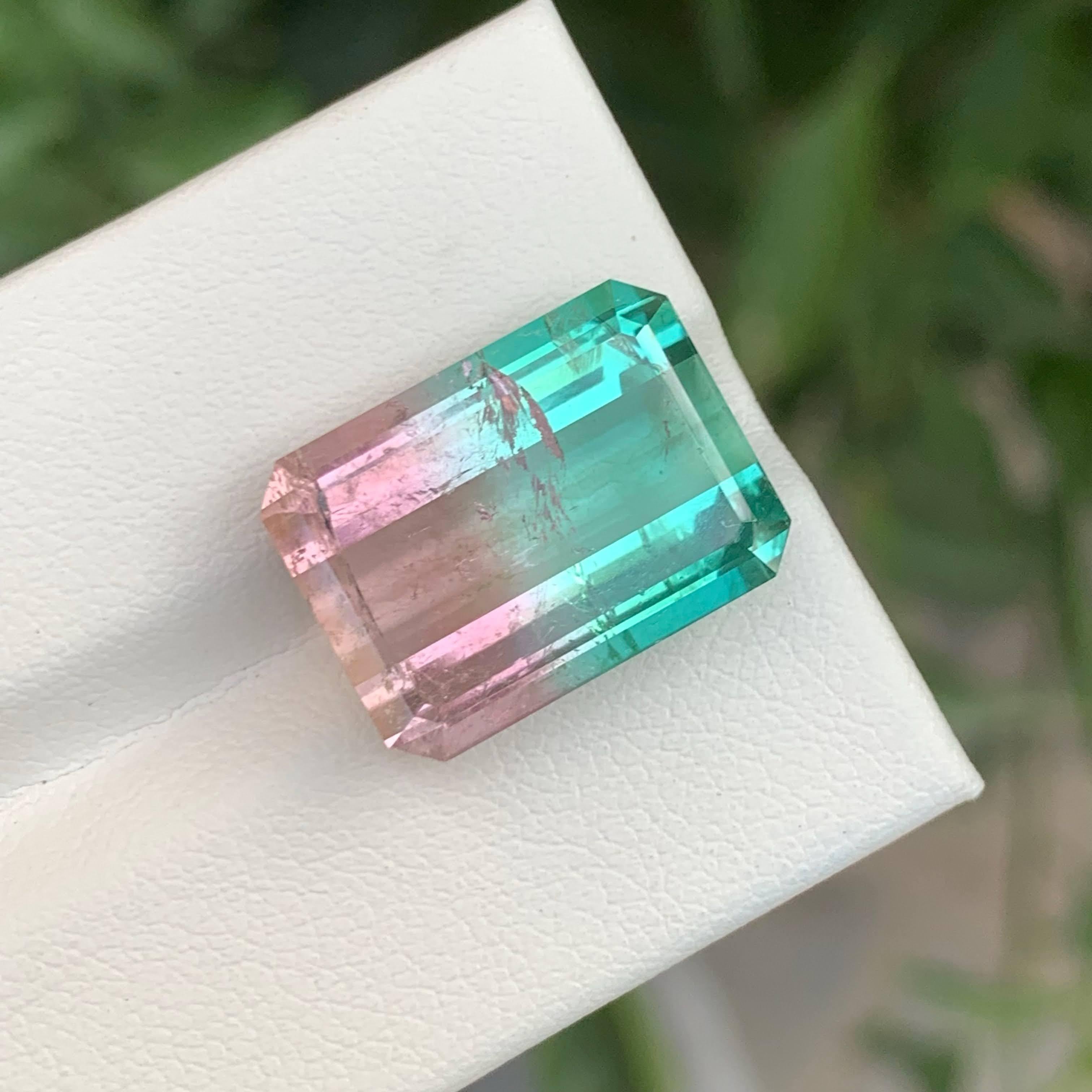 13.35 Carat Natural Loose Lagoon Bicolor Tourmaline Emerald Cut Afghan Gemstone (Smaragdschliff) im Angebot
