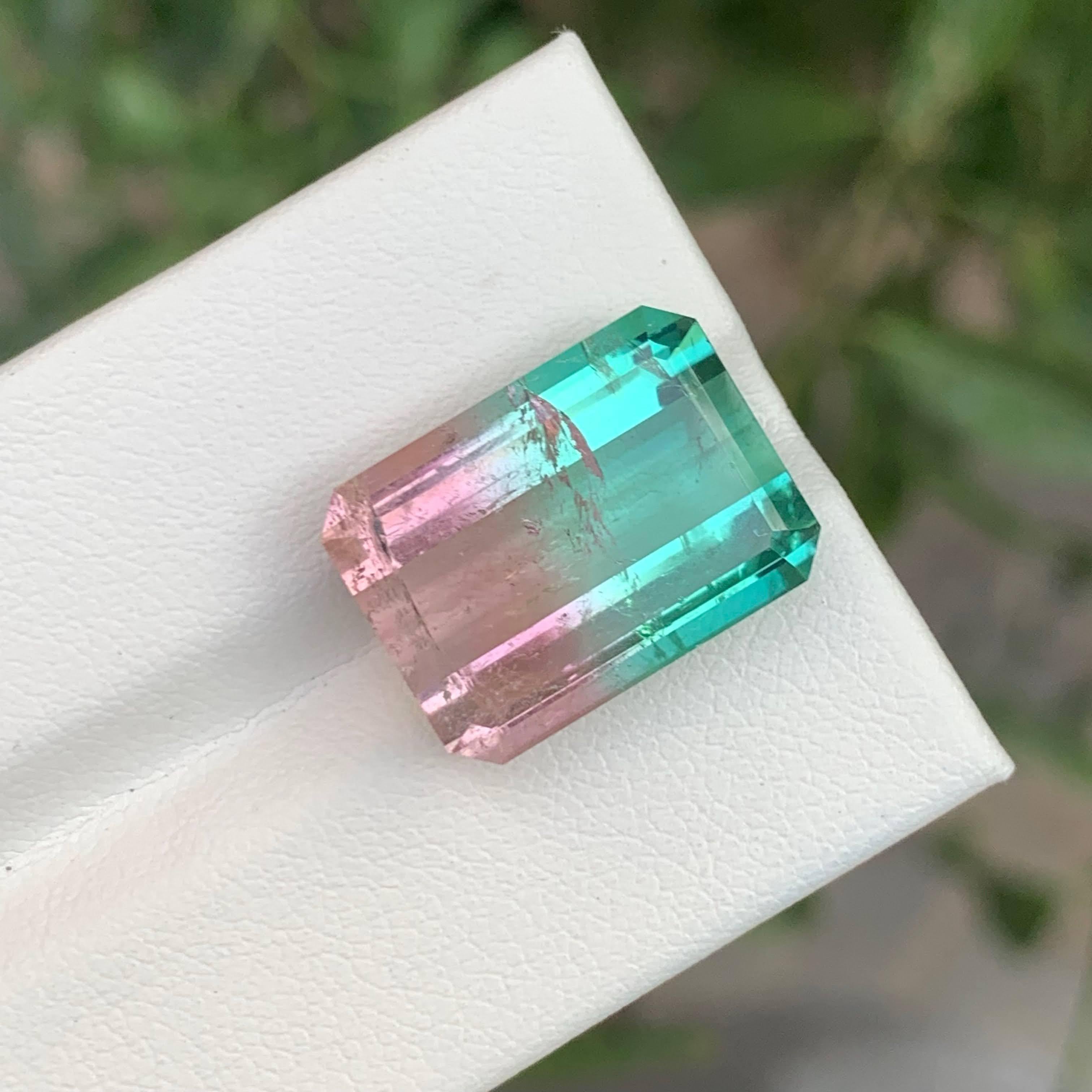 13.35 Carat Natural Loose Lagoon Bicolor Tourmaline Emerald Cut Afghan Gemstone im Angebot 1