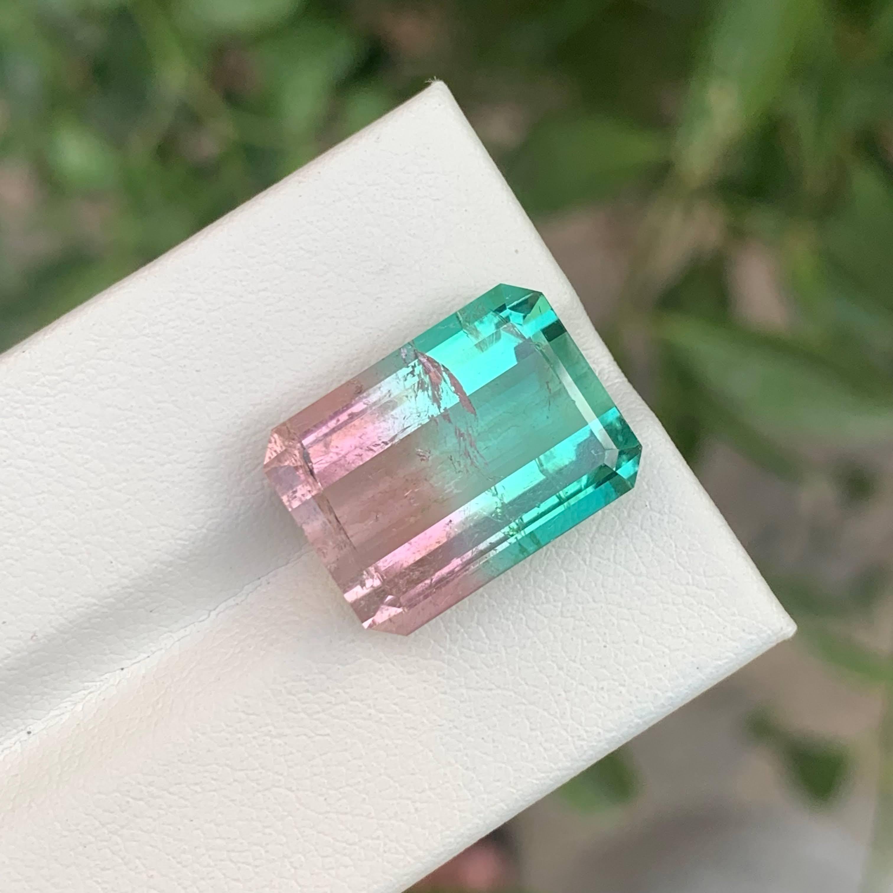 13.35 Carat Natural Loose Lagoon Bicolor Tourmaline Emerald Cut Afghan Gemstone im Angebot 3