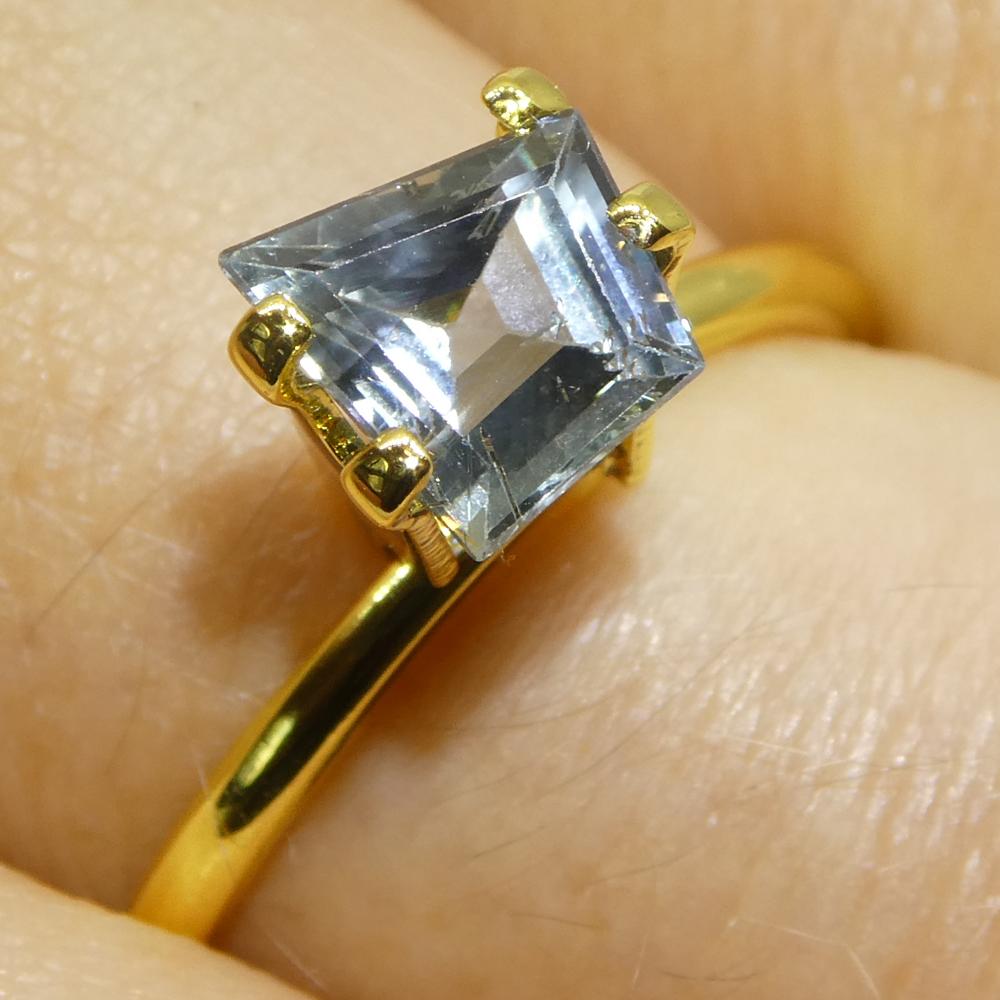 1,33ct Zaffiro blu trapazoide/acaro dell'Africa orientale in vendita 8