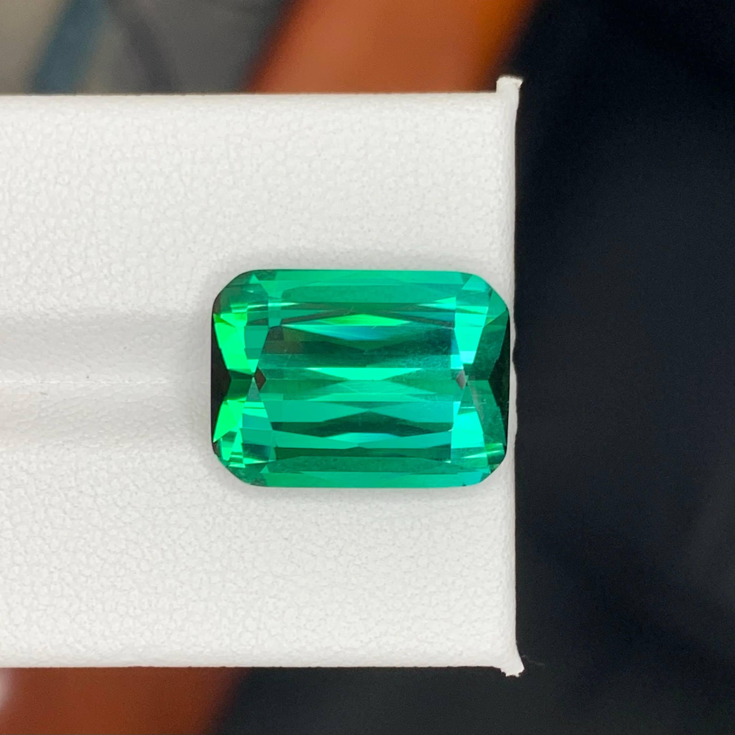 Peso 13,45 carati 
Dimensioni 16,8x12,3x8,1 mm
Trattamento Nessuno 
Origine afgana 
Clarity Loup Clean 
Forma taglio cuscino 





Questa straordinaria tormalina verde bluastra sfusa da 13,45 carati è una gemma affascinante che irradia colori