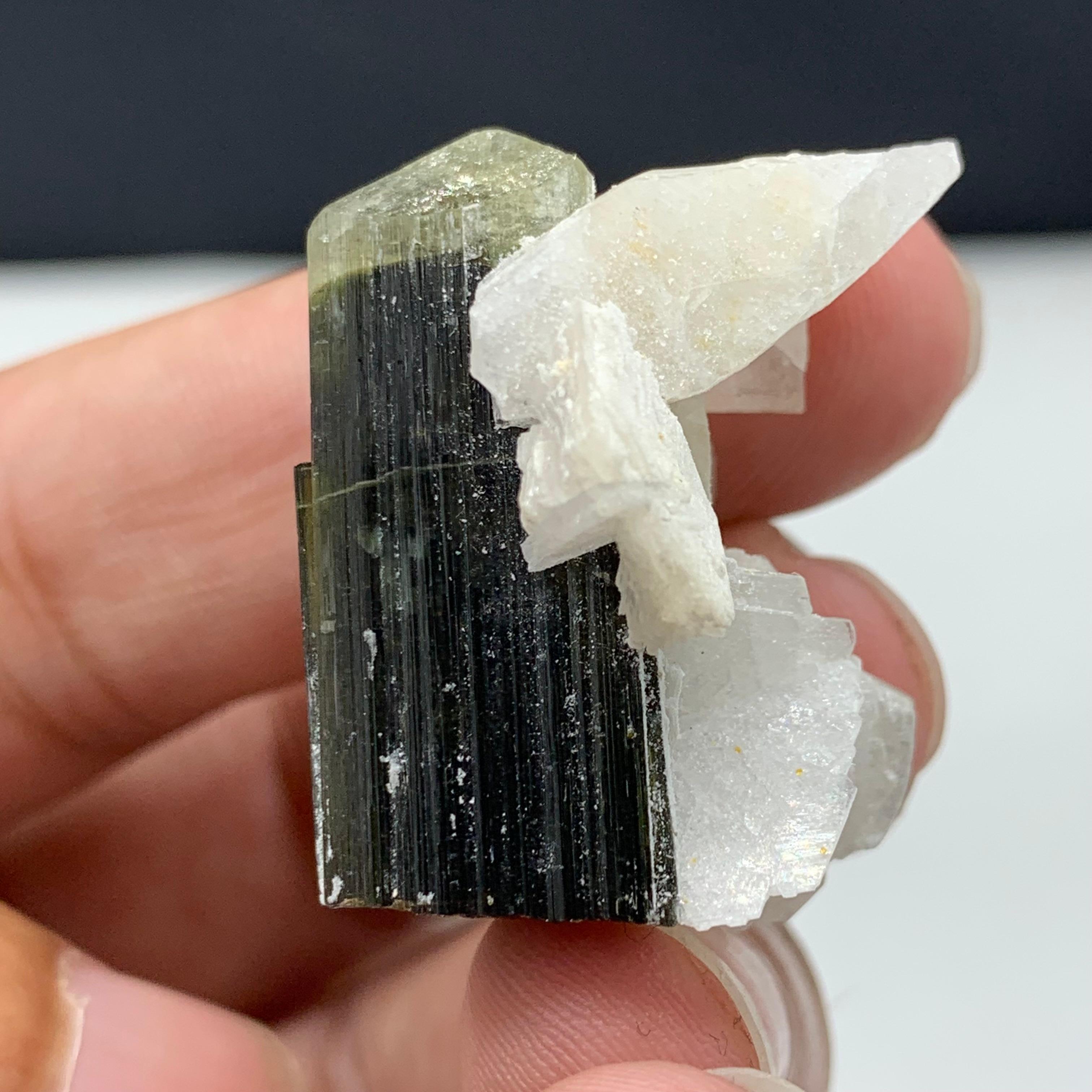 18th Century and Earlier 13.49 Gram Gorgeous Tourmaline With Albite Specimen From Skardu, Pakistan For Sale