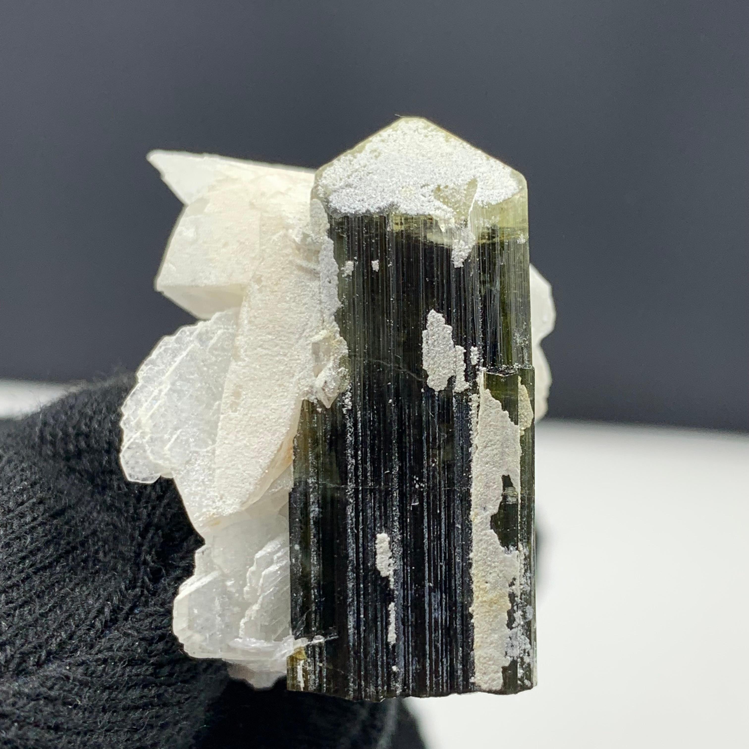 13.49 Gram Gorgeous Tourmaline With Albite Specimen From Skardu, Pakistan 

Weight: 13.49 Gram
Dimension: 3 x 2.7 x 2.4 Cm
Origin: Stak Nala, Skardu, Pakistan 

Tourmaline is a crystalline silicate mineral group in which boron is compounded with