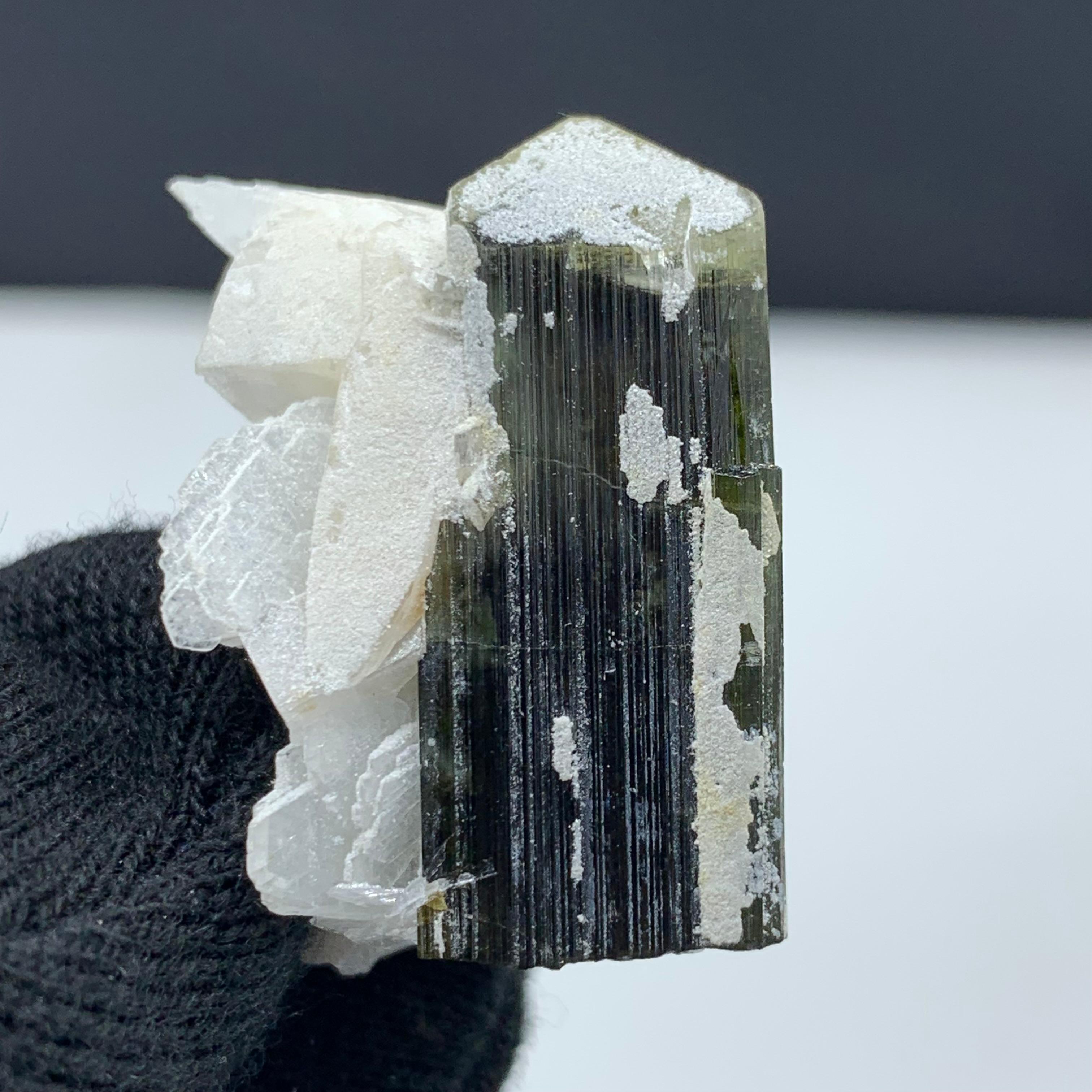 Adam Style 13.49 Gram Gorgeous Tourmaline With Albite Specimen From Skardu, Pakistan For Sale