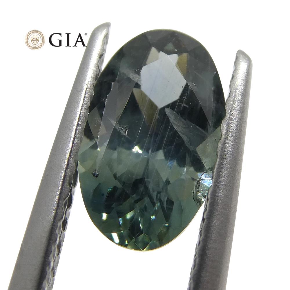 Women's or Men's 1.34ct Oval Greenish Gray Teal Sapphire GIA Certified USA (Montana) For Sale