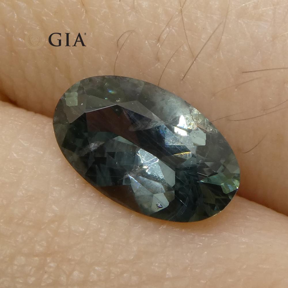 Oval Cut 1.34ct Oval Greenish Gray Teal Sapphire GIA Certified USA (Montana) For Sale