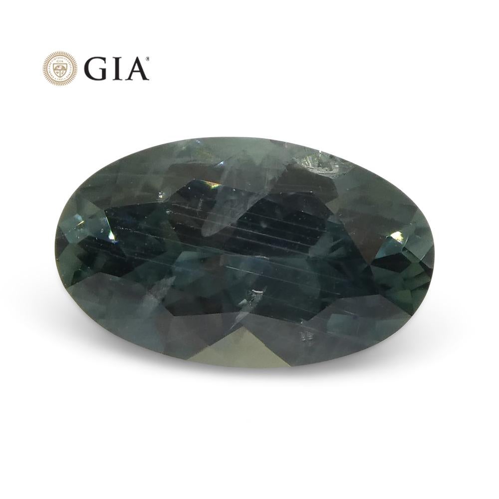 1.34ct Oval Greenish Gray Teal Sapphire GIA Certified USA (Montana) For Sale 4