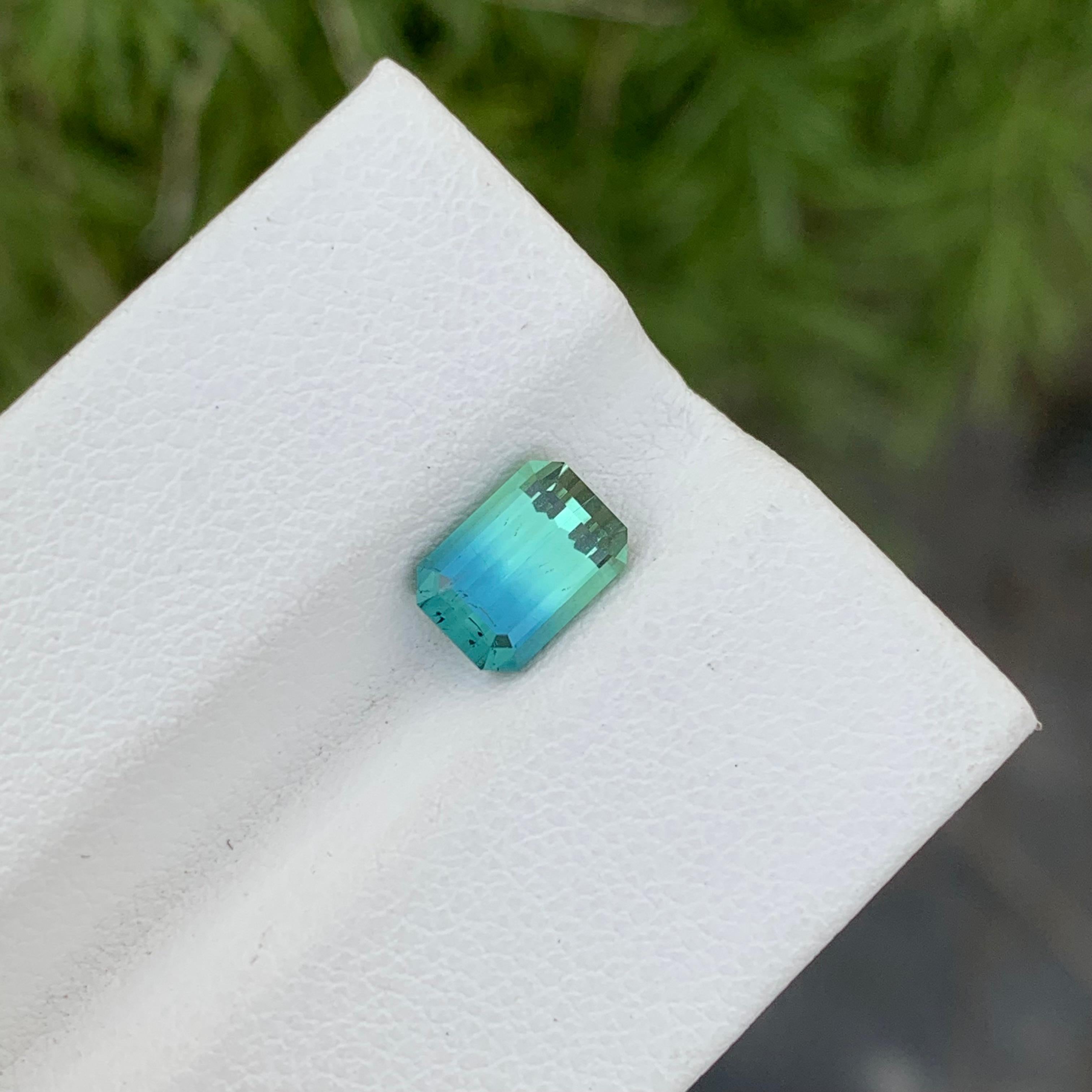 Loose Bi Colour Tourmaline

Weight: 1.35 Carats
Dimension: 7.5 x 5.3 x 3.9 Mm
Colour: Mint Green And Aqua Blue 
Origin: Afghanistan
Certificate: On Demand
Treatment: Non

Tourmaline is a captivating gemstone known for its remarkable variety of