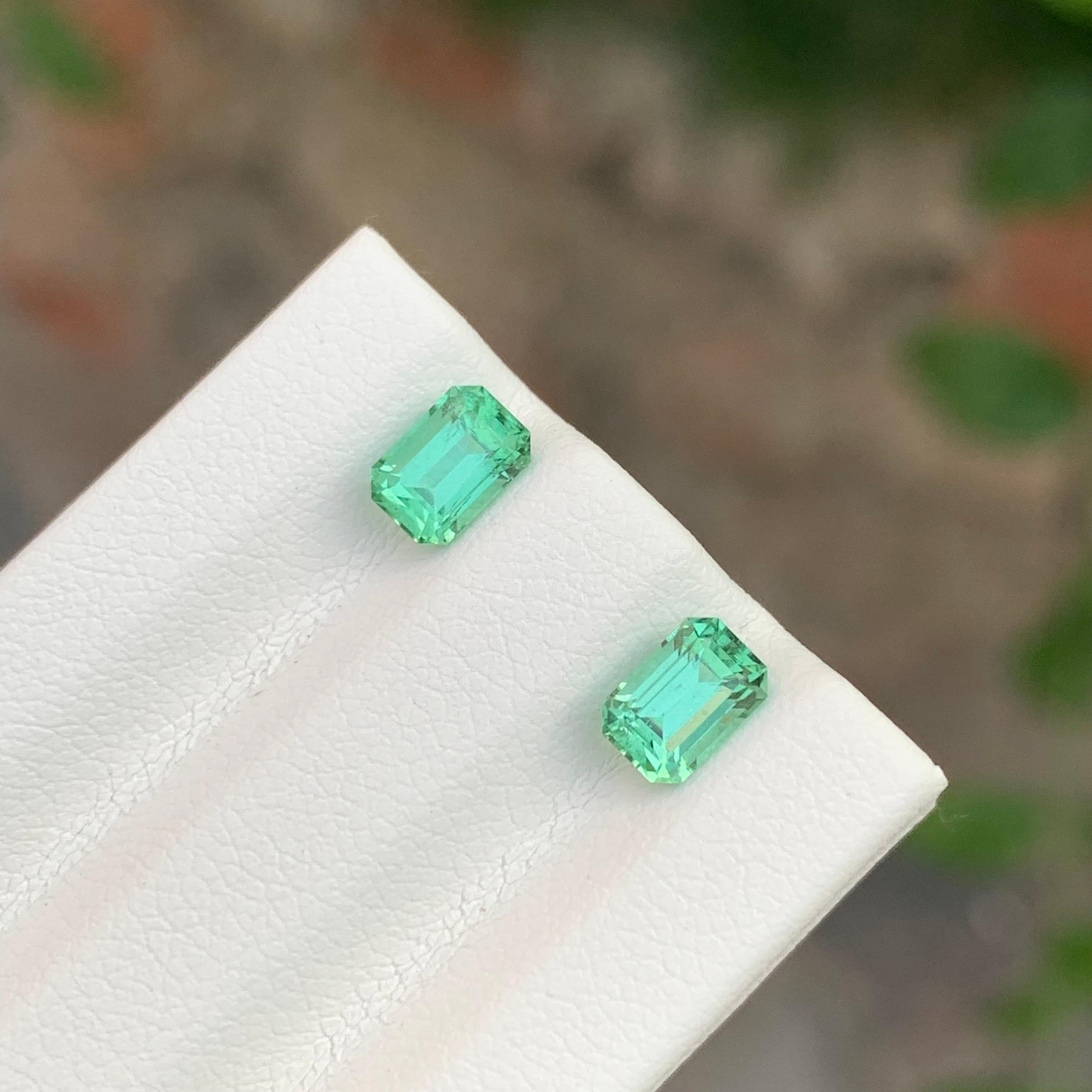1.35 Carat Natural Loose Mint Green Tourmaline Pair Emerald Shape Gemstone (pierre précieuse en forme d'émeraude) en vente 5