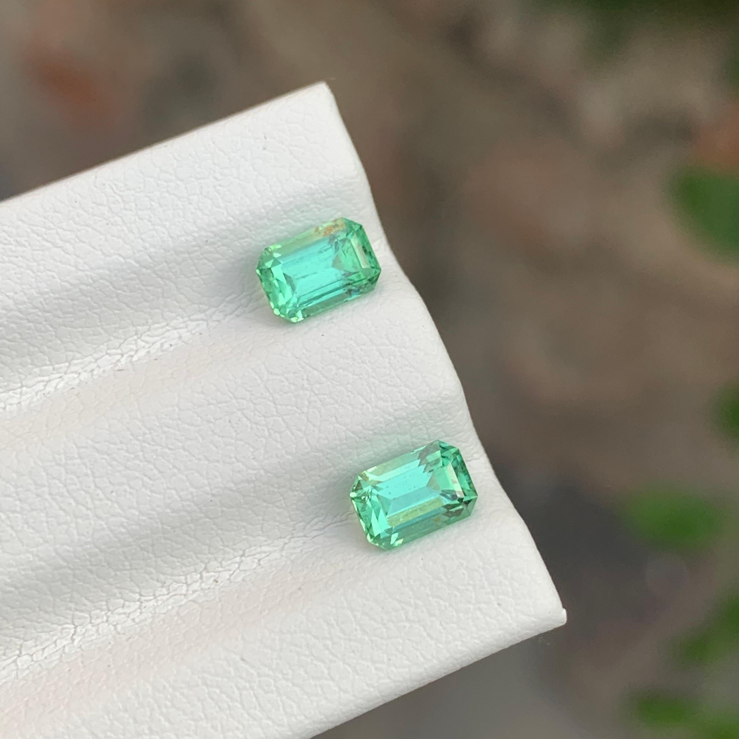 Taille émeraude 1.35 Carat Natural Loose Mint Green Tourmaline Pair Emerald Shape Gemstone (pierre précieuse en forme d'émeraude) en vente