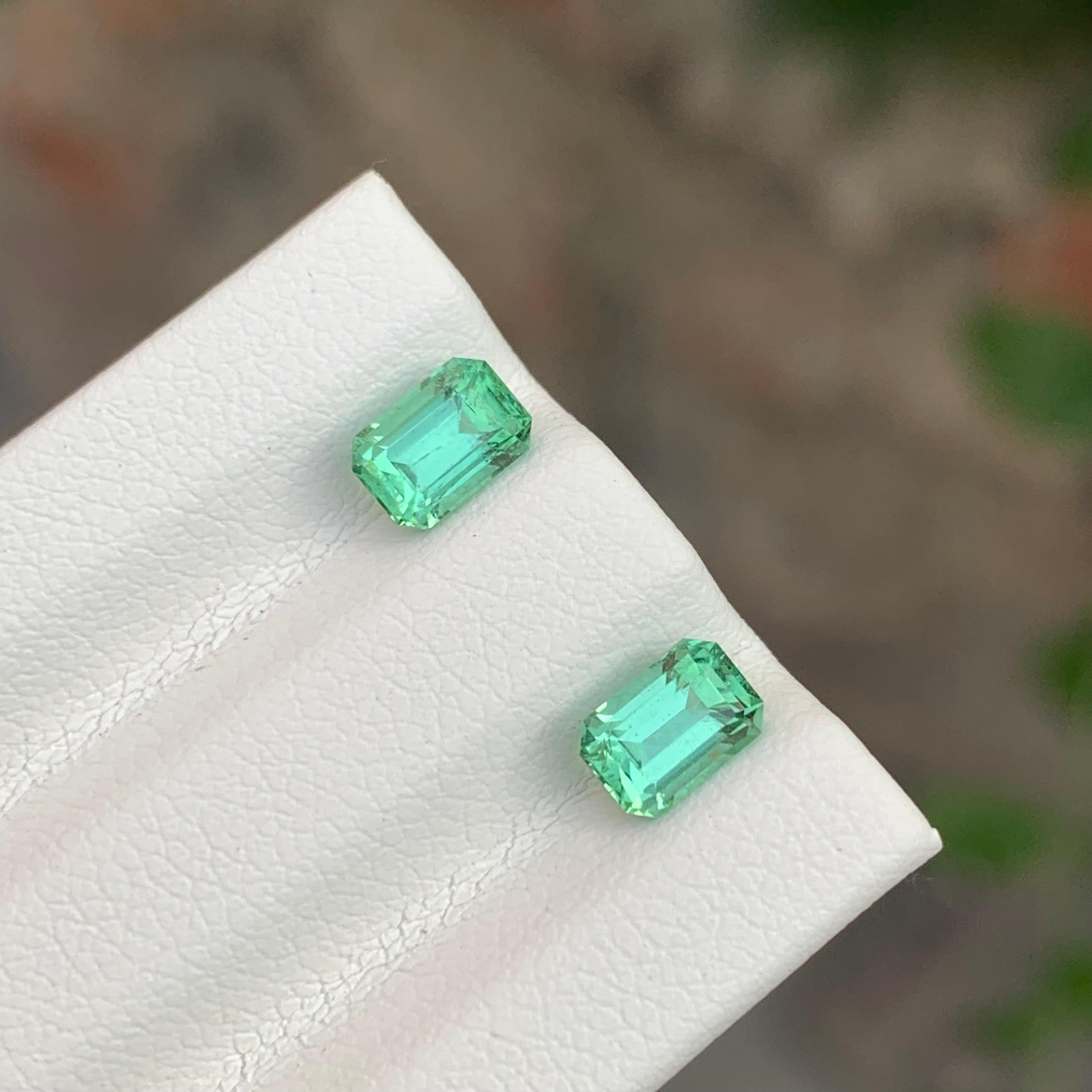 1.35 Carat Natural Loose Mint Green Tourmaline Pair Emerald Shape Gemstone (pierre précieuse en forme d'émeraude) Unisexe en vente