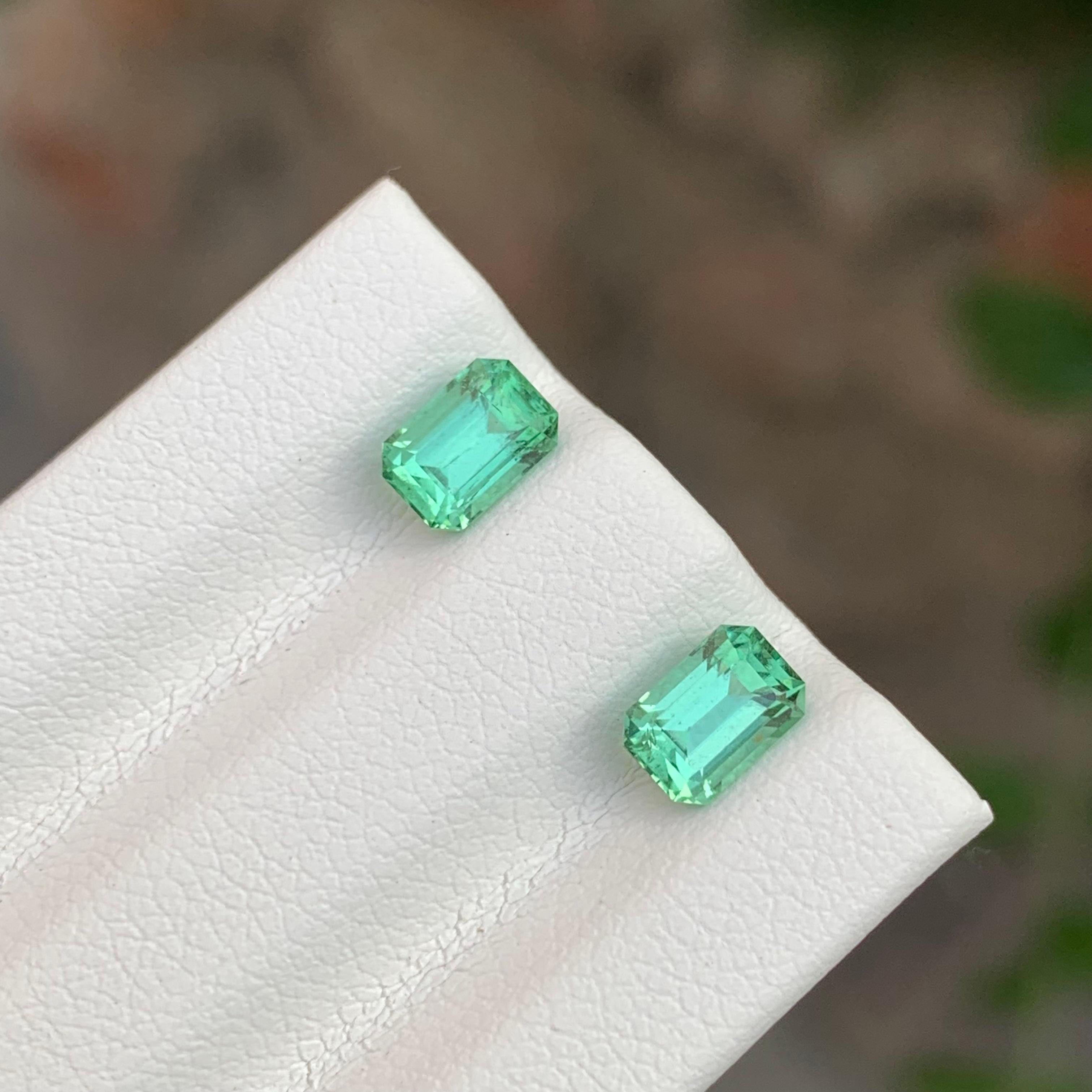 1.35 Carat Natural Loose Mint Green Tourmaline Pair Emerald Shape Gemstone (pierre précieuse en forme d'émeraude) en vente 2