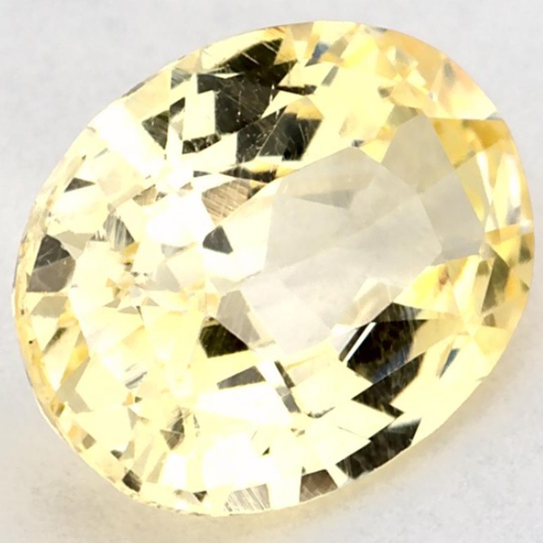 Taglio ovale 1.36 carati di zaffiro giallo ovale sfuso in vendita