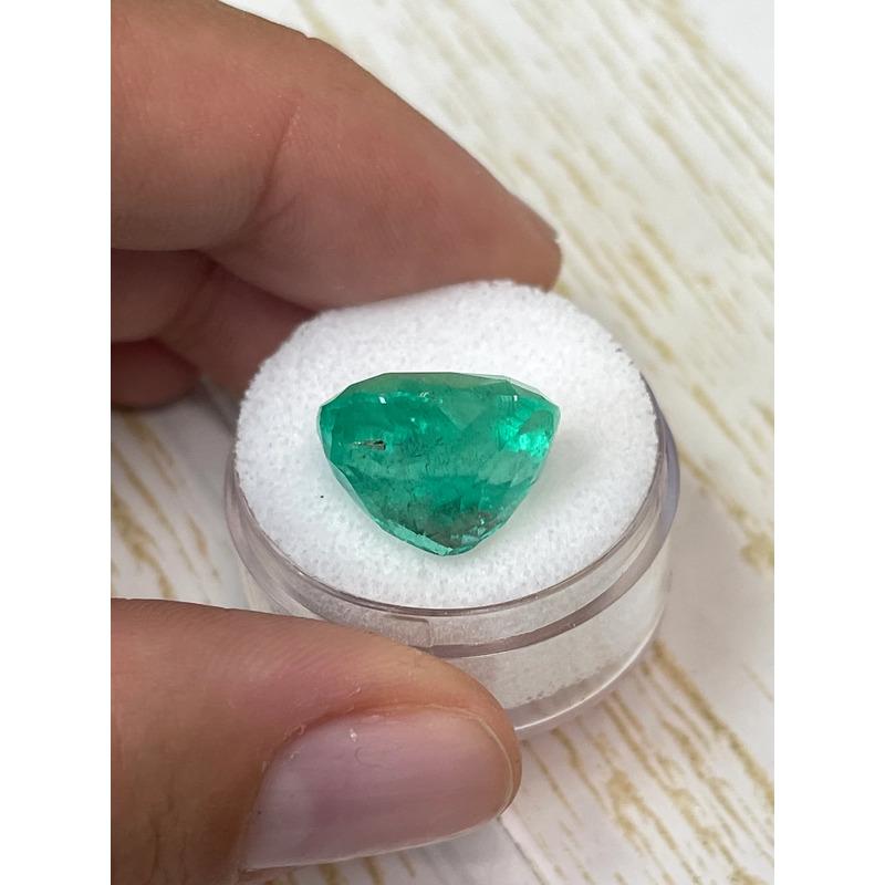 Women's 13.63 Carat Medium Green Colombian Emerald - Cushion Cut May Birthstone Gem For Sale