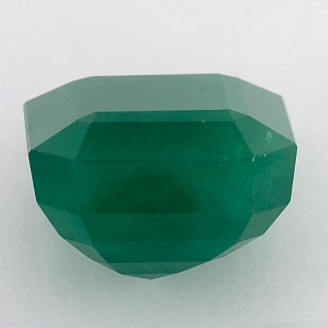 13.66 Ct Emerald Octagon Cut Loose Gemstone (pierre précieuse en vrac) Neuf - En vente à Fort Lee, NJ