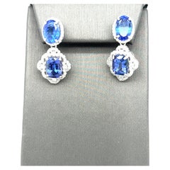 Platinum Dangle Earrings