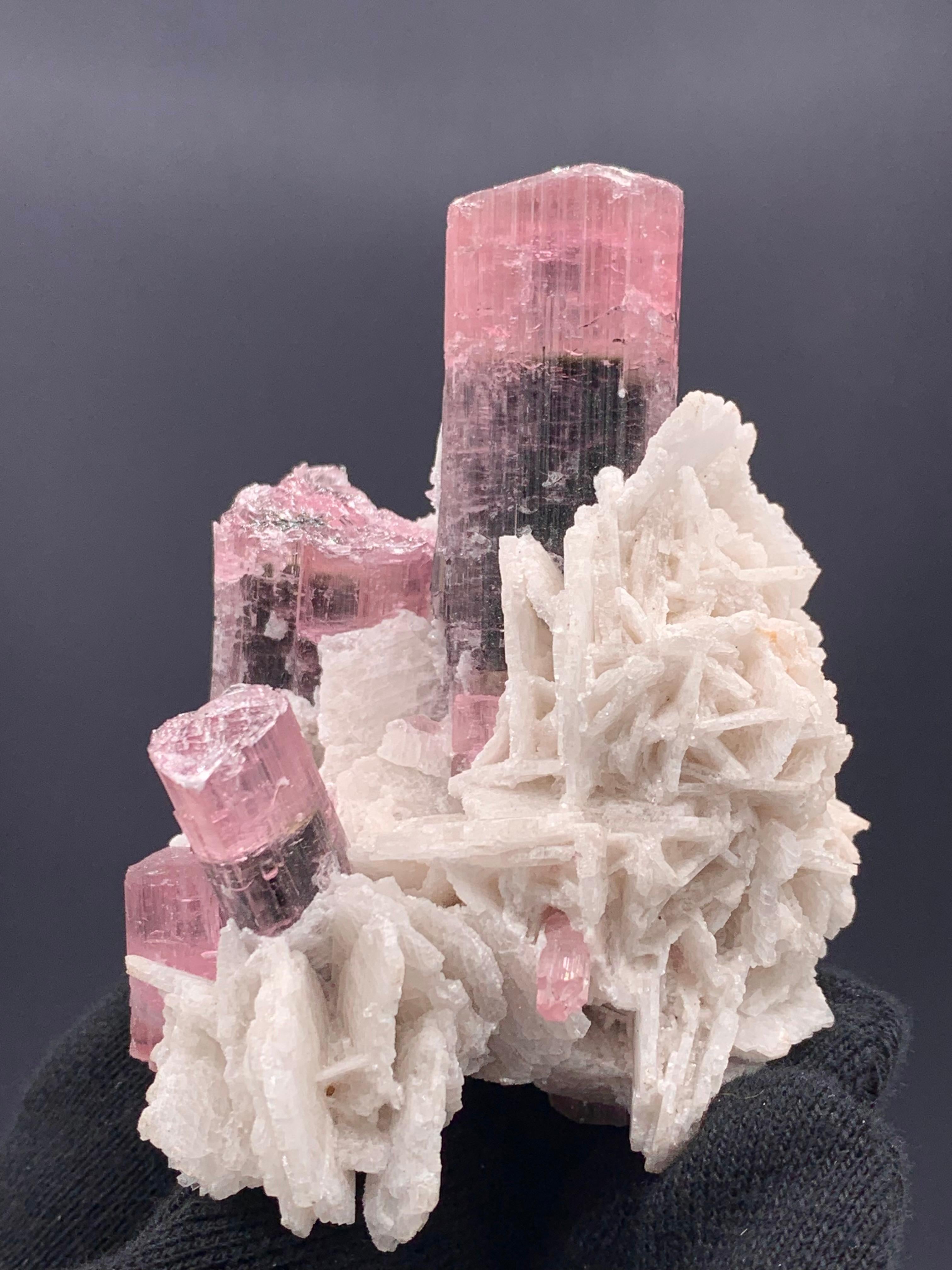 136.98 Gram Beautiful Bi Color Tourmaline Specimen From Skardu, Pakistan 

Weight: 136.98 Gram 
Dimension: 7.3 x 5.4 x 6.3 Cm
Origin: Skardu, Pakistan 

Tourmaline is a crystalline silicate mineral group in which boron is compounded with elements