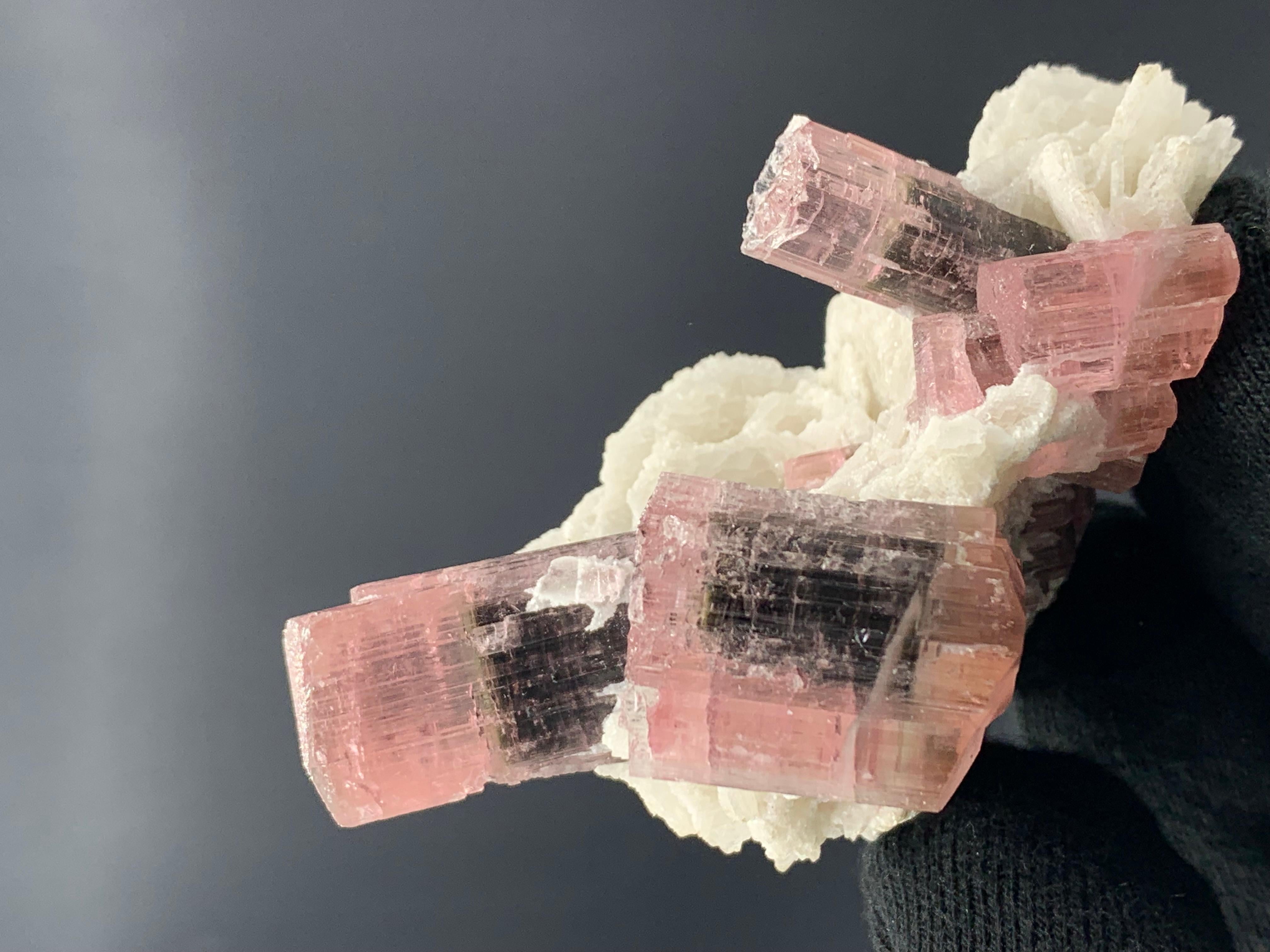 Fino al XVIII secolo 136,98 Grammi Bellissimo esemplare di tormalina bicolore da Skardu, Pakistan in vendita