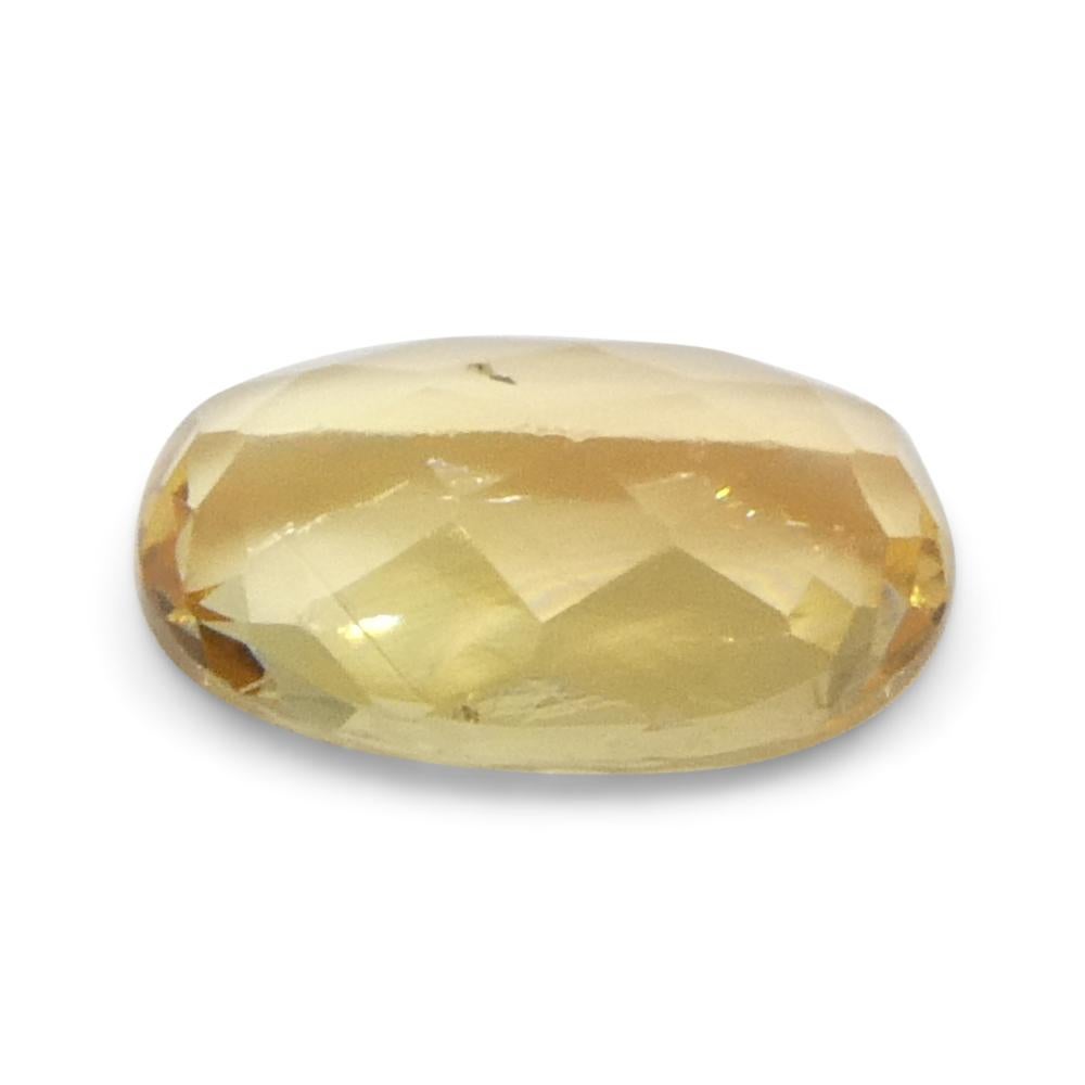 1.36ct Oval Orange Imperial Topaz from Brazil Unheated For Sale 5